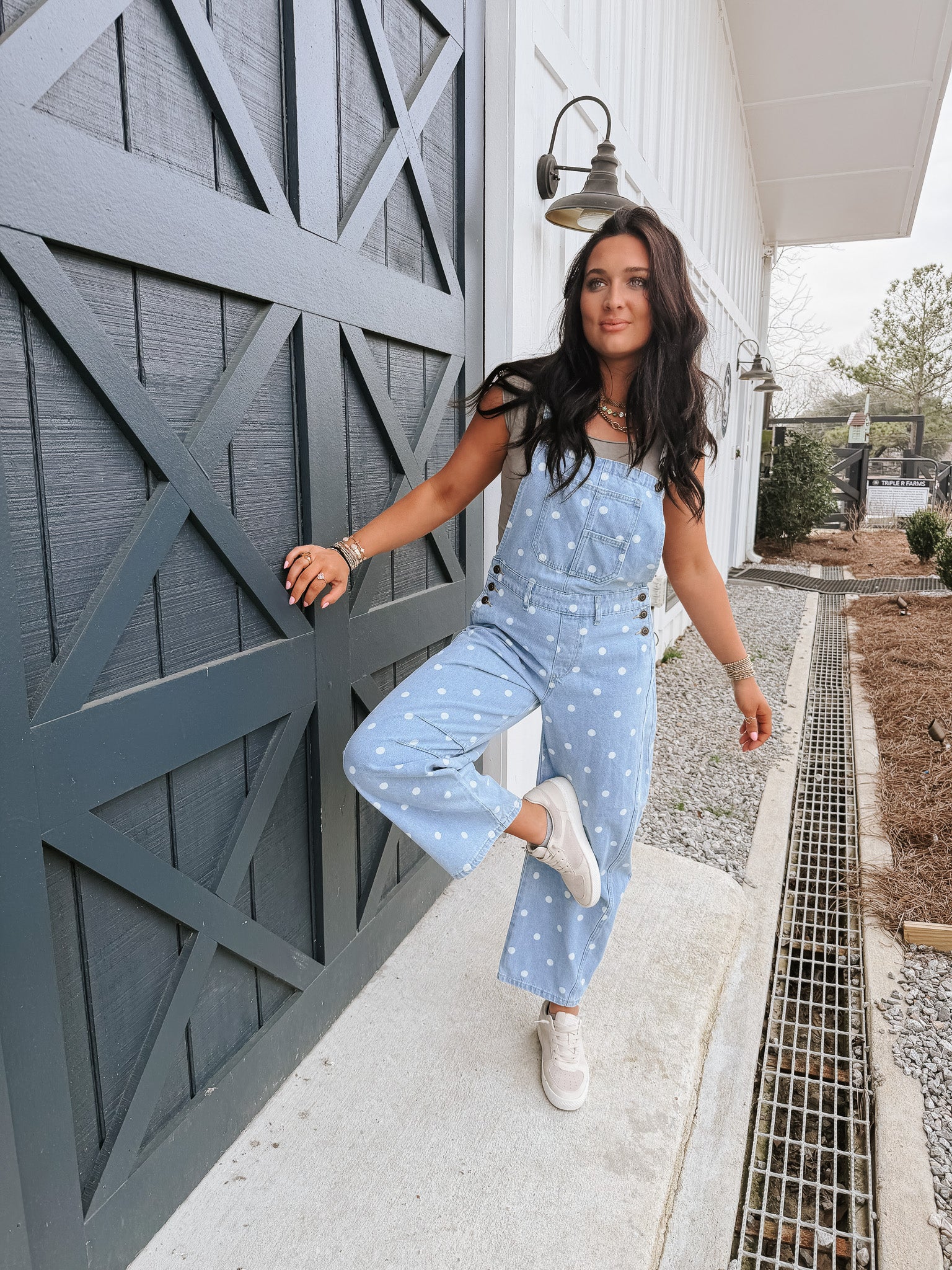 Southern Charm Denim Overalls