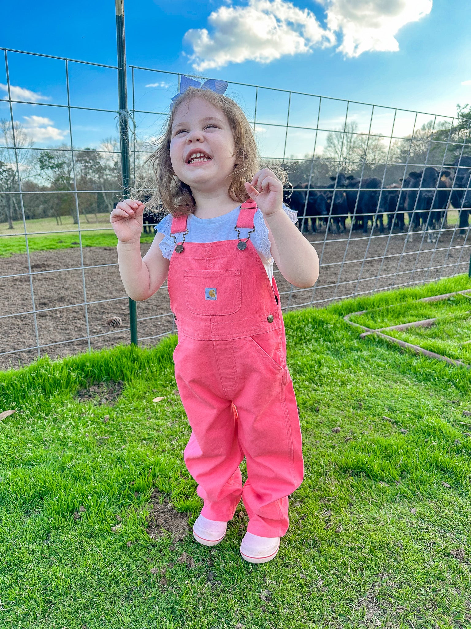 Carhartt Infant & Toddler Loose Fit Canvas Bib Overalls in Pink