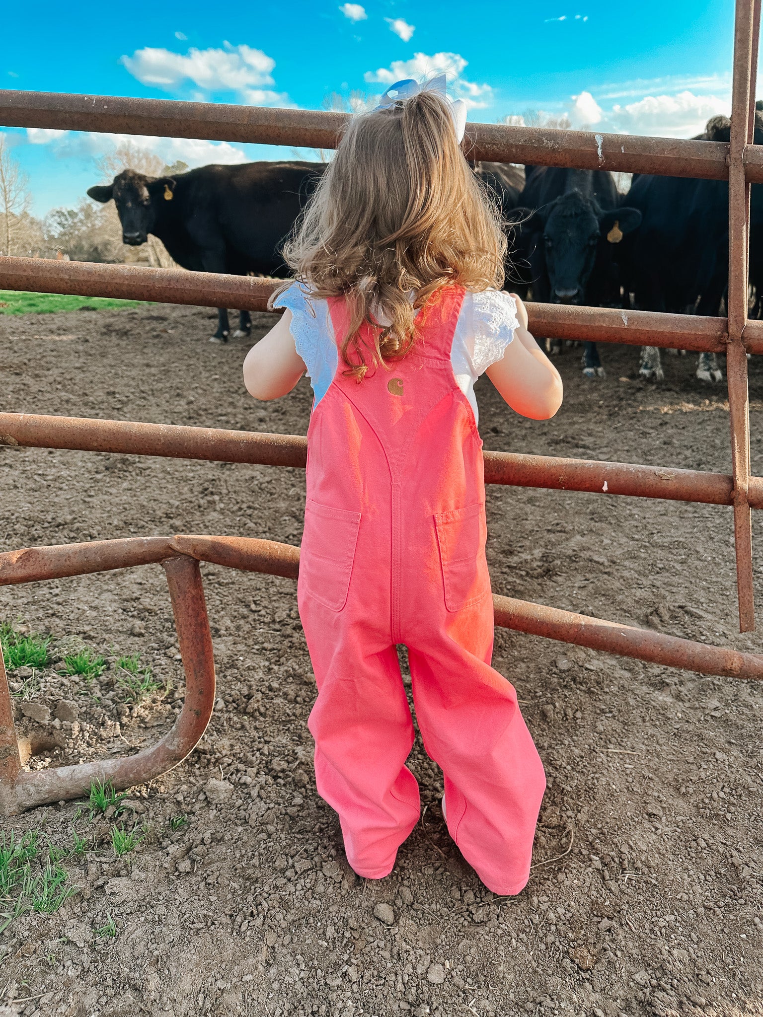 Carhartt Infant & Toddler Loose Fit Canvas Bib Overalls in Pink