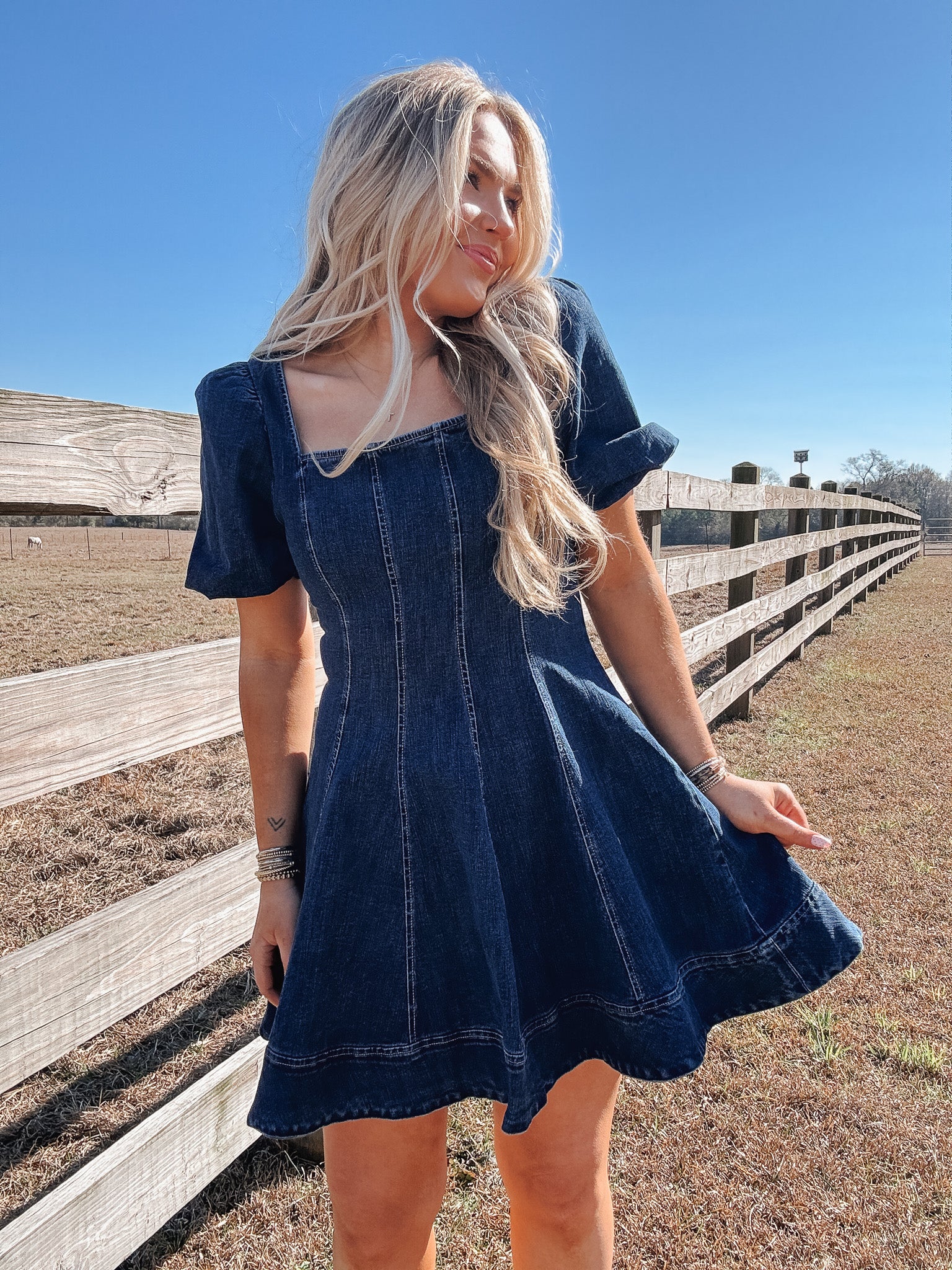 Darling Moments Dress