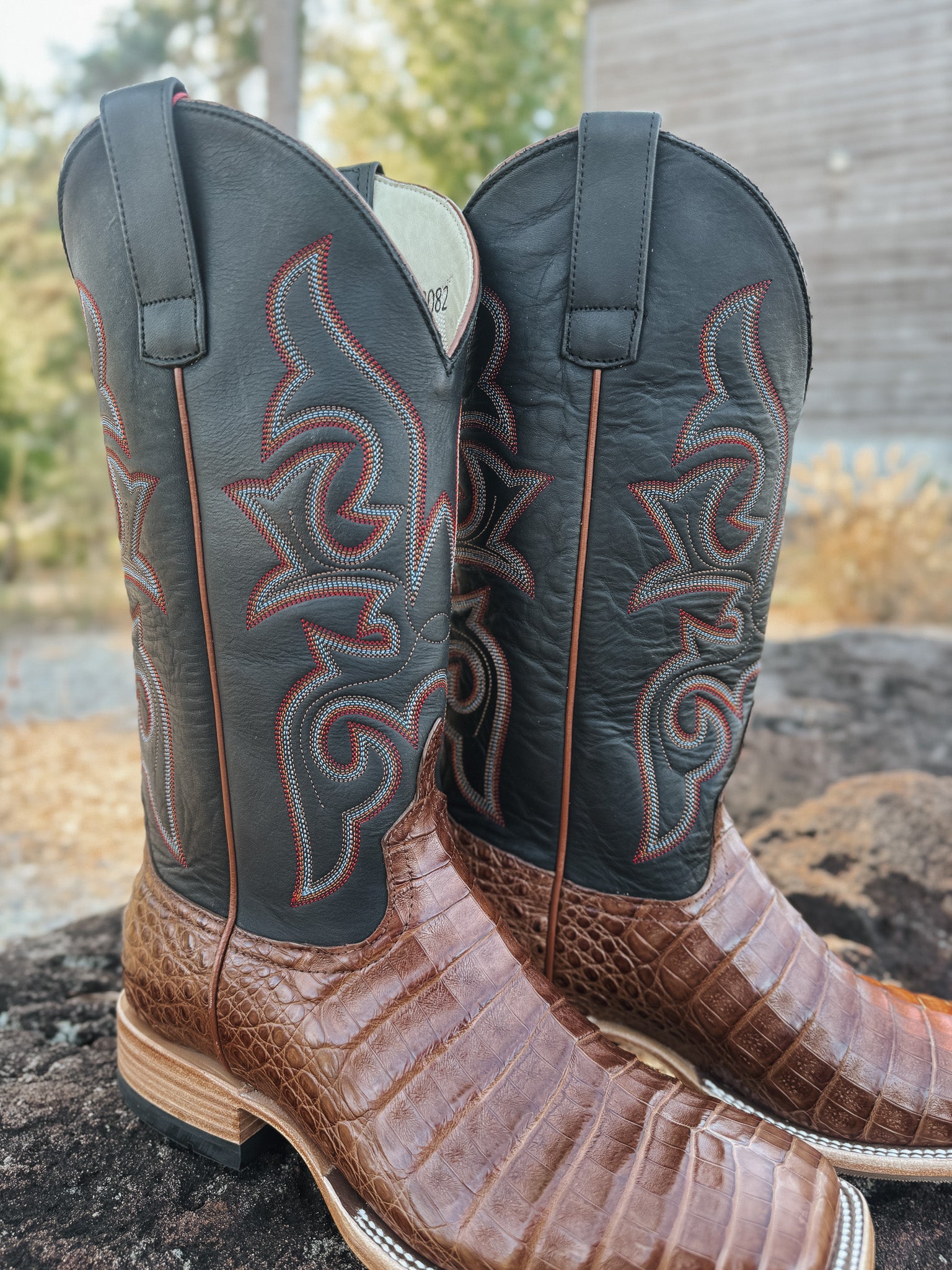 Men's Horse Power Cigar Caiman Boots