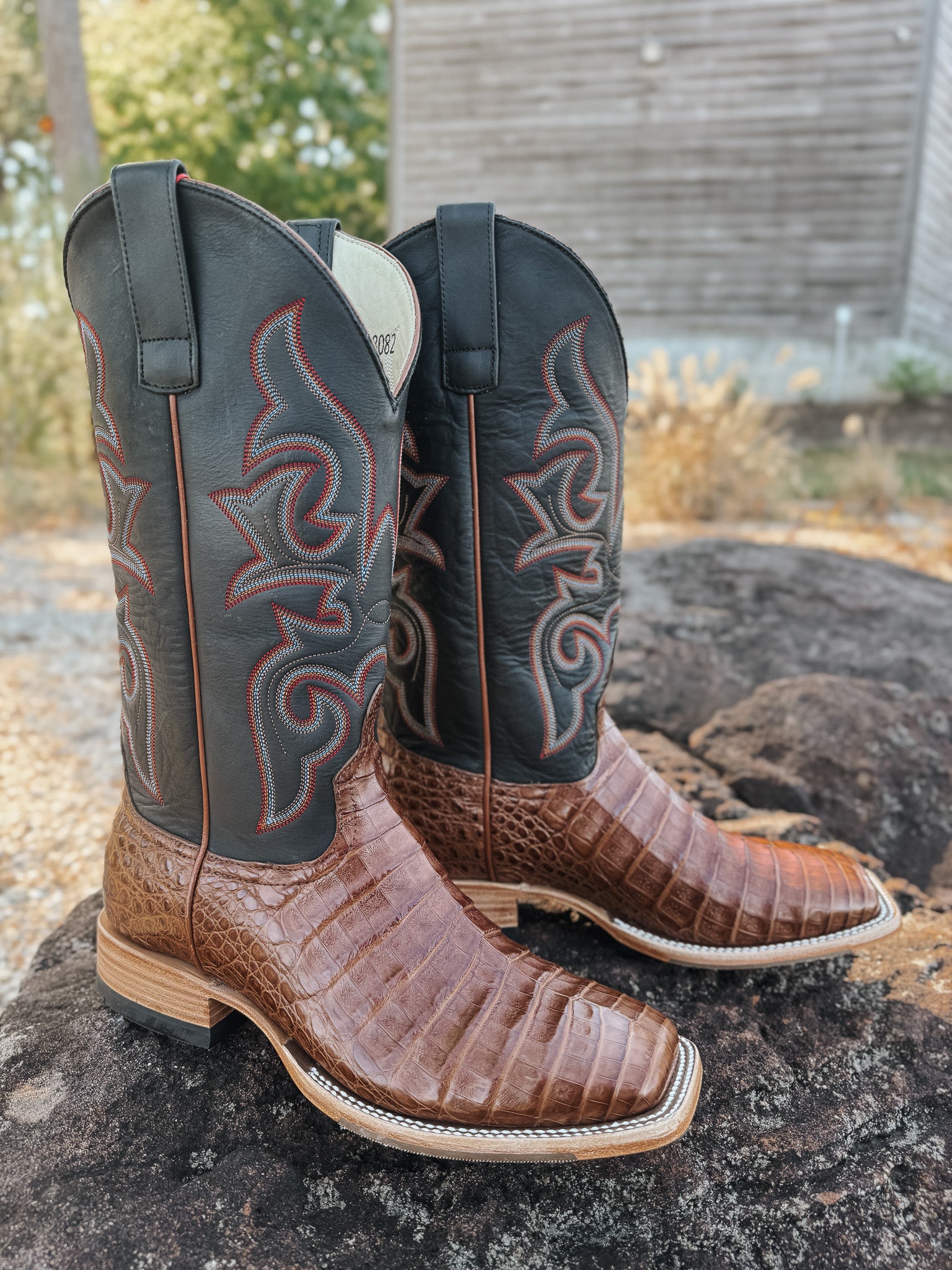 Men's Horse Power Cigar Caiman Boots