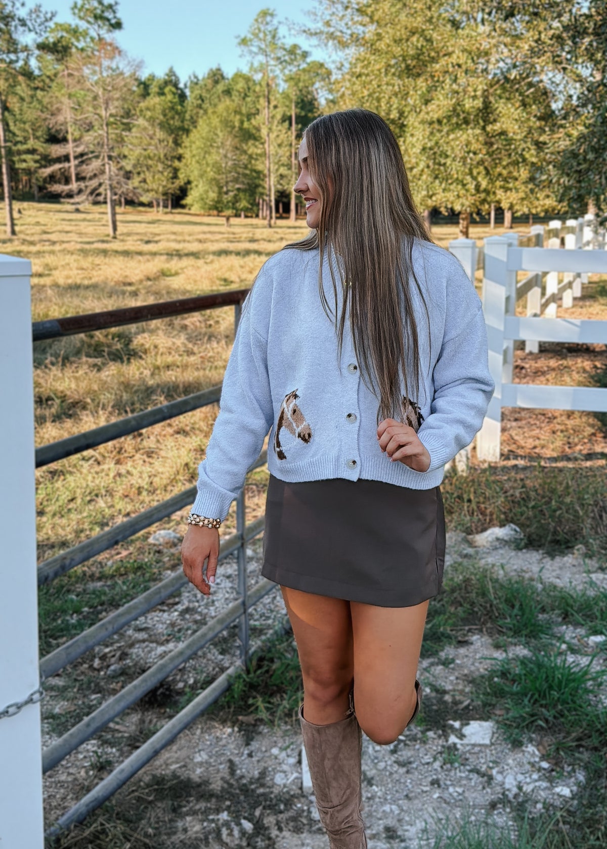 Horsin' Around Sweater
