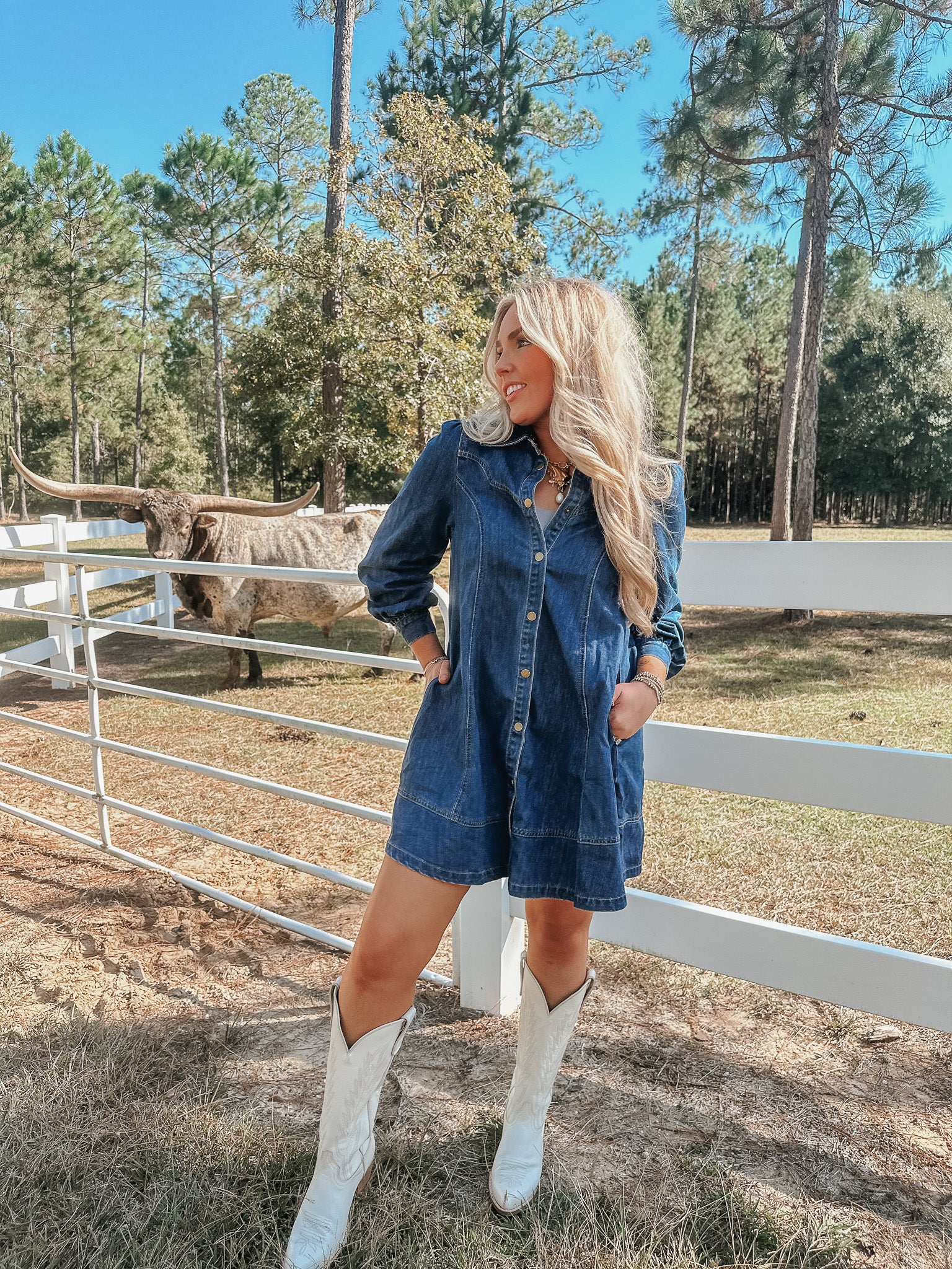 Western Dream Denim Mini Dress