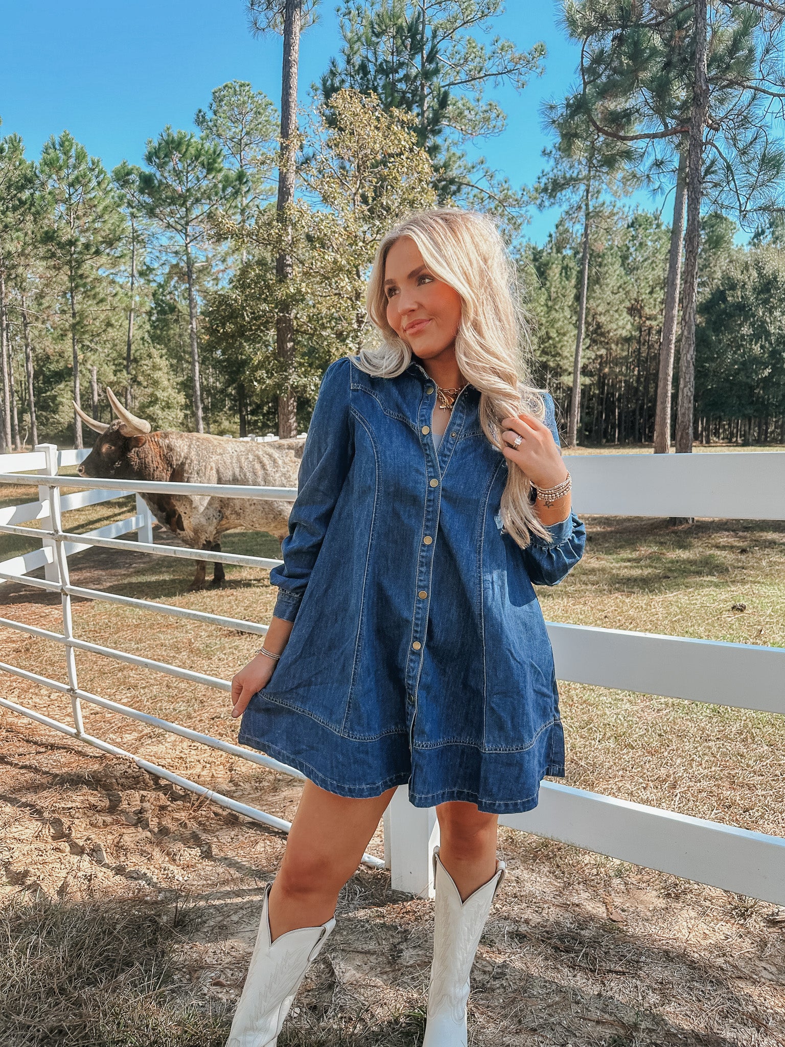 Western Dream Denim Mini Dress