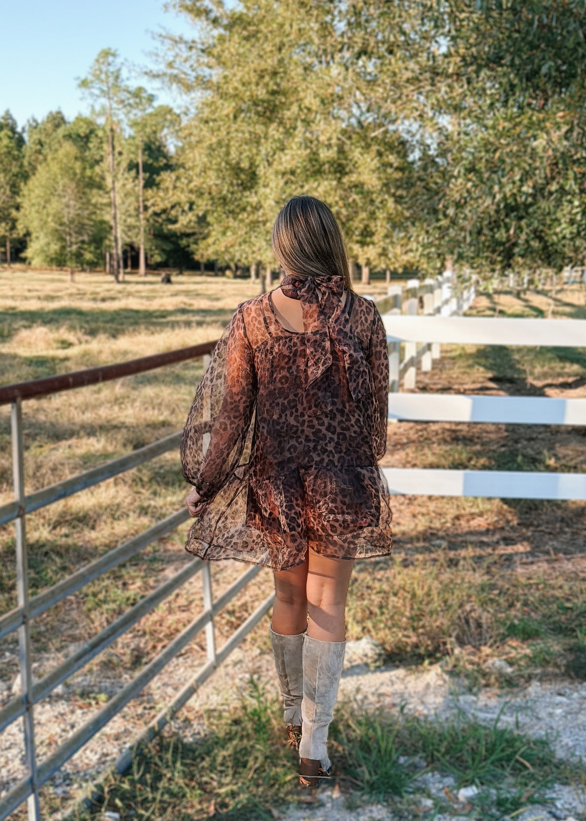 Wild Side Leopard Mini Dress