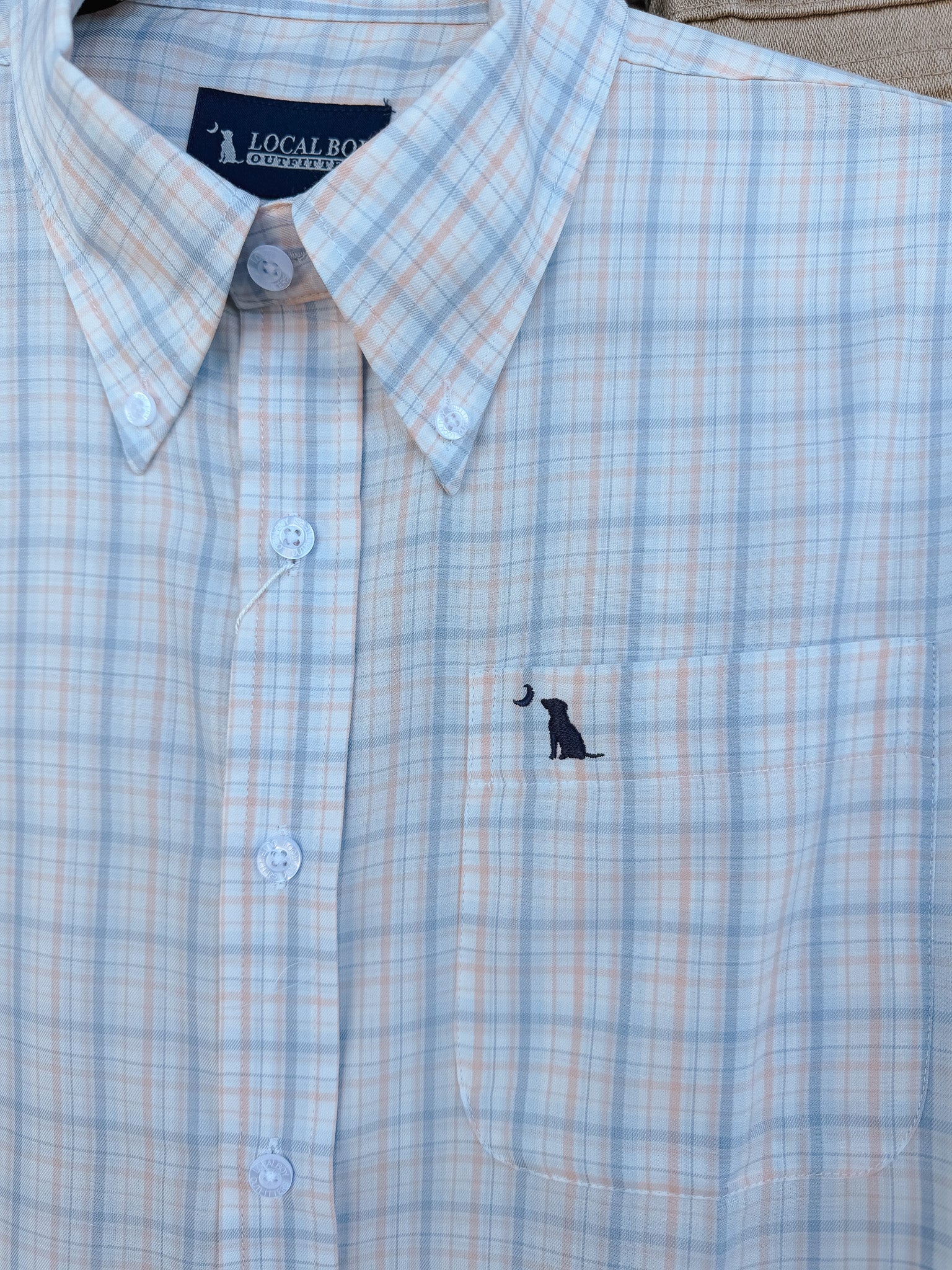 Local Boy Lee Dress Shirt in Light Blue & Salmon