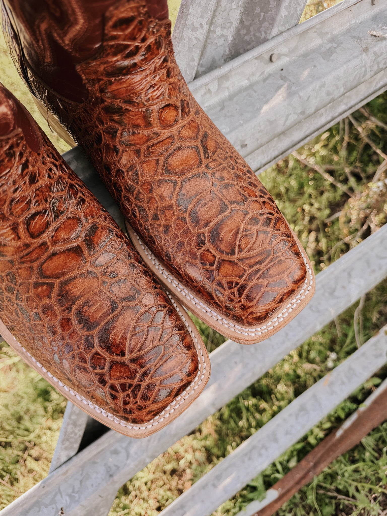 Men's Cowtown Cognac Sea Turtle Print Leather Boots