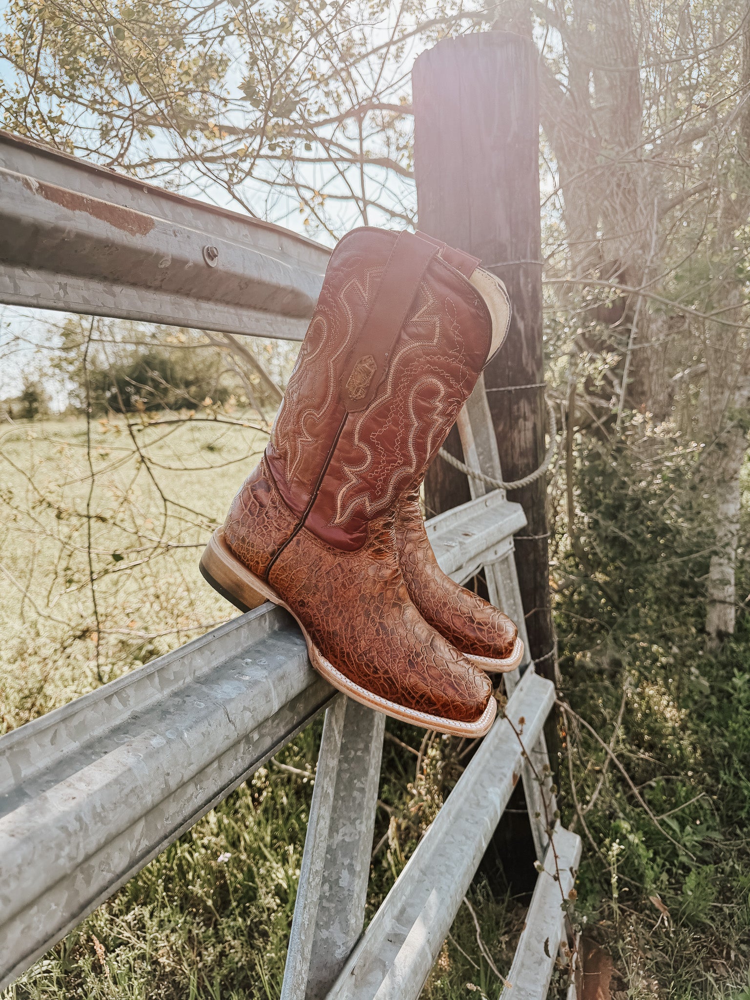 Men's Cowtown Cognac Sea Turtle Print Leather Boots
