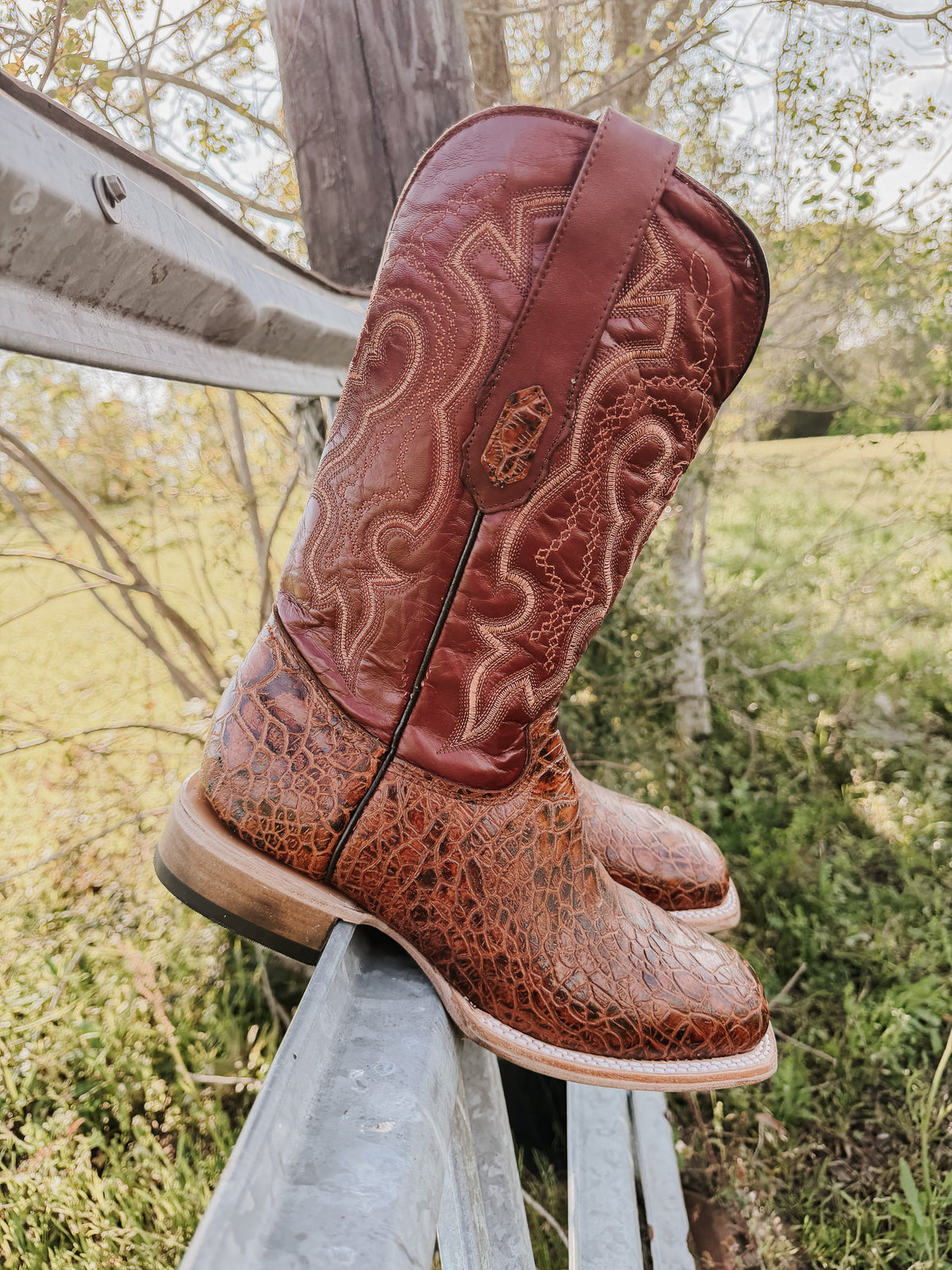 Turtle Shell Boots Men's Cowtown Cognac Sea Turtle Print Leather Boots – Boot Country