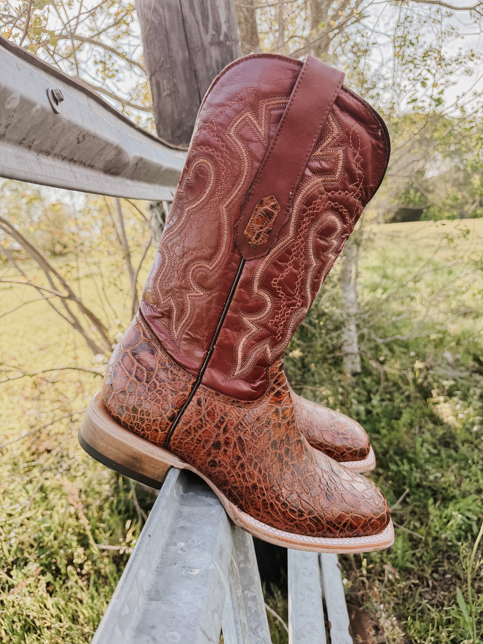 Men's Cowtown Cognac Sea Turtle Print Leather Boots