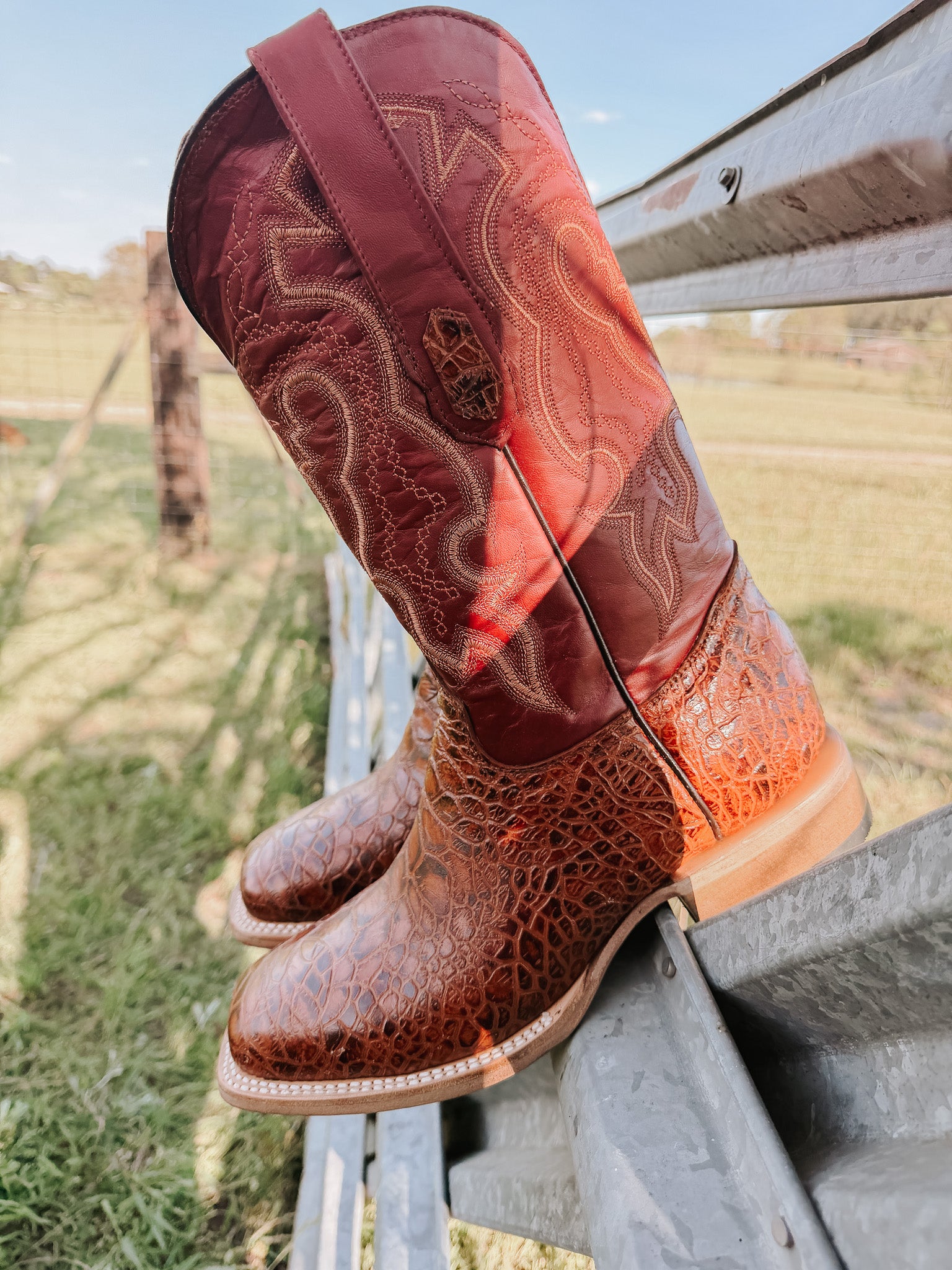 Men's Cowtown Cognac Sea Turtle Print Leather Boots