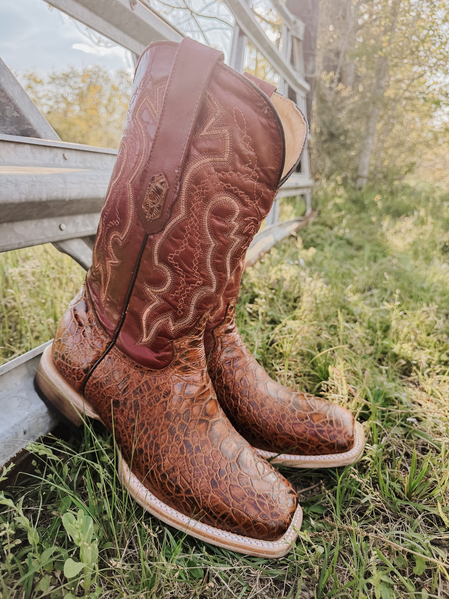 Men's Cowtown Cognac Sea Turtle Print Leather Boots