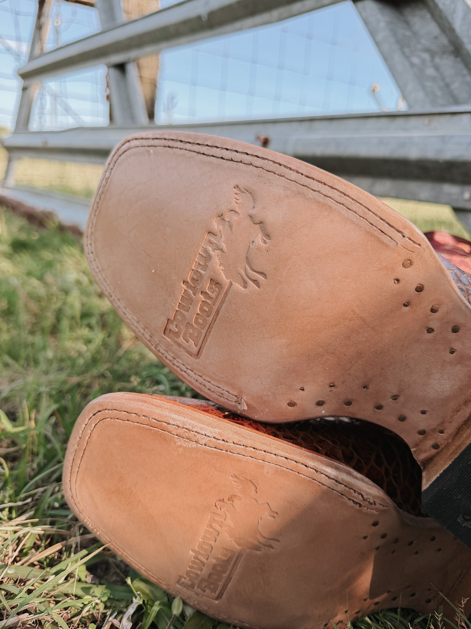 Men's Cowtown Cognac Sea Turtle Print Leather Boots