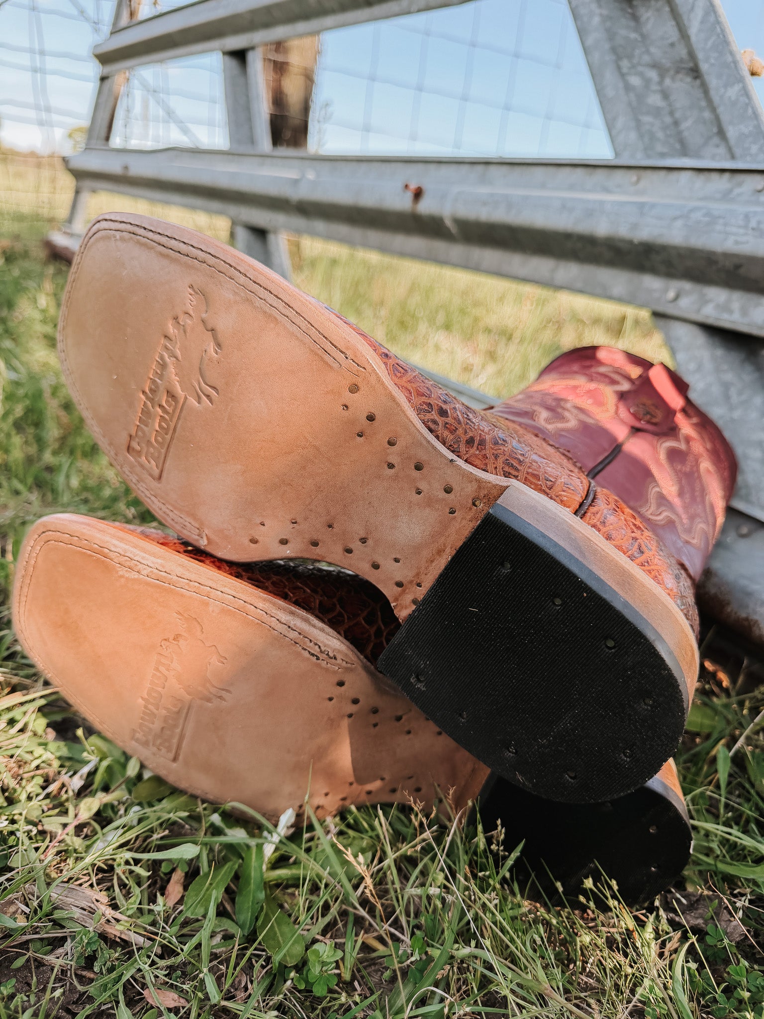 Men's Cowtown Cognac Sea Turtle Print Leather Boots