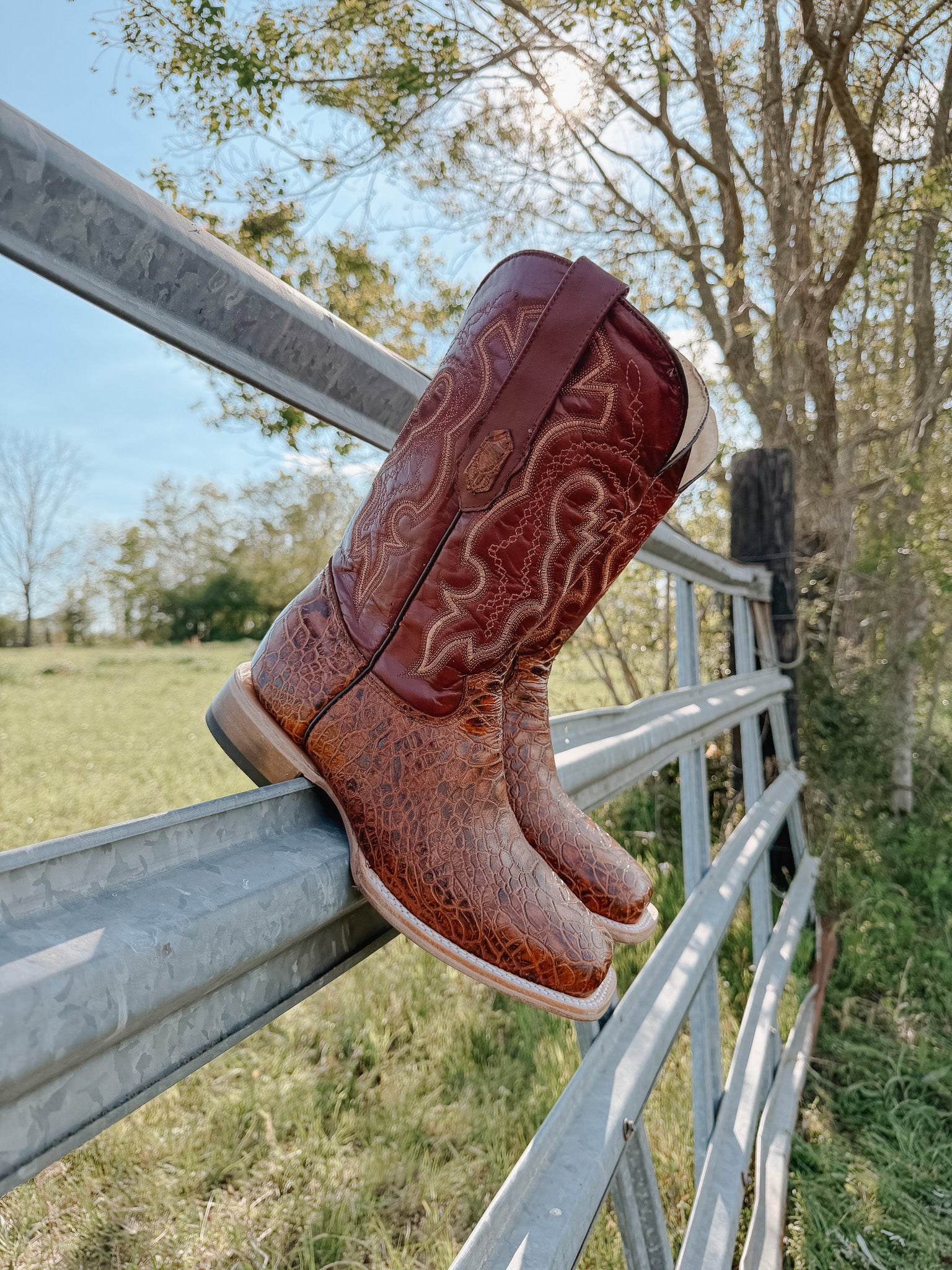Men's Cowtown Cognac Sea Turtle Print Leather Boots