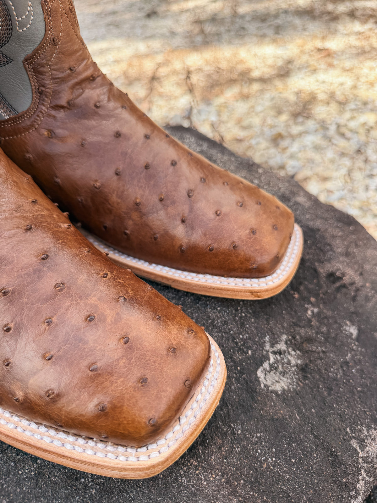 Dan Post Men's Drayden Full Quill Ostrich Boots