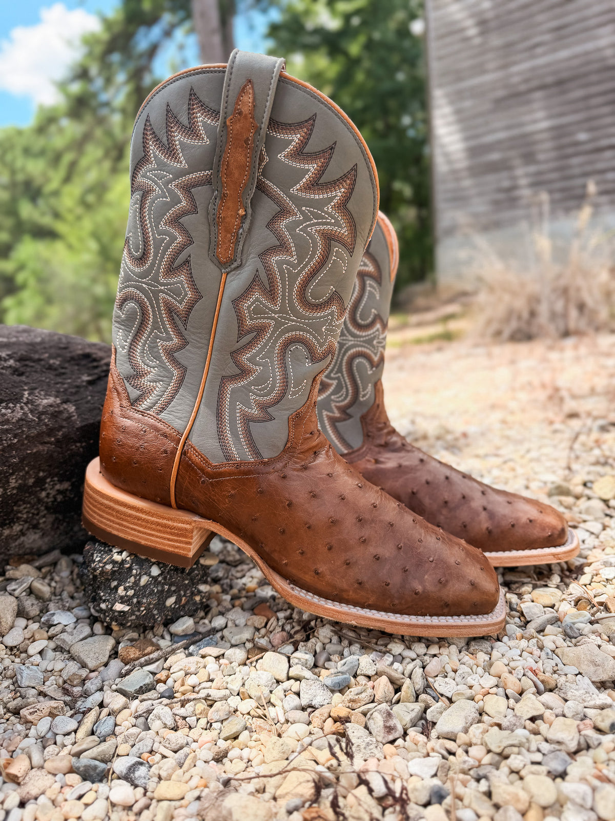 Dan Post Men's Drayden Full Quill Ostrich Boots