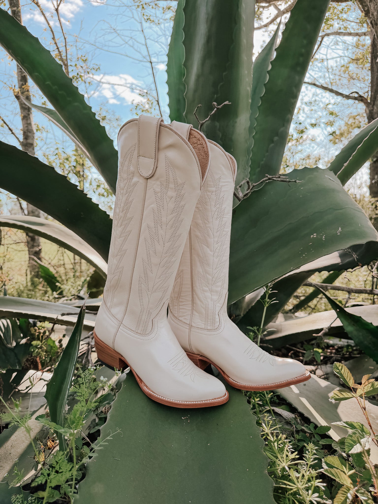 Macie Bean Spacey Gracey Crema para mujer de 15 pulgadas. Bota con punta de almendra