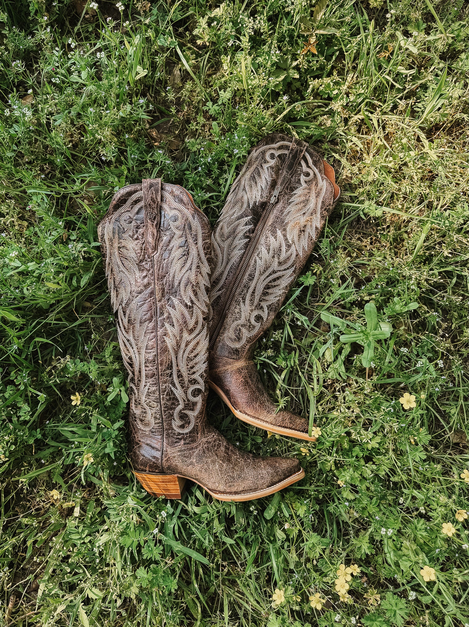 Dan Post Women's Rustic Ridge Western Boot