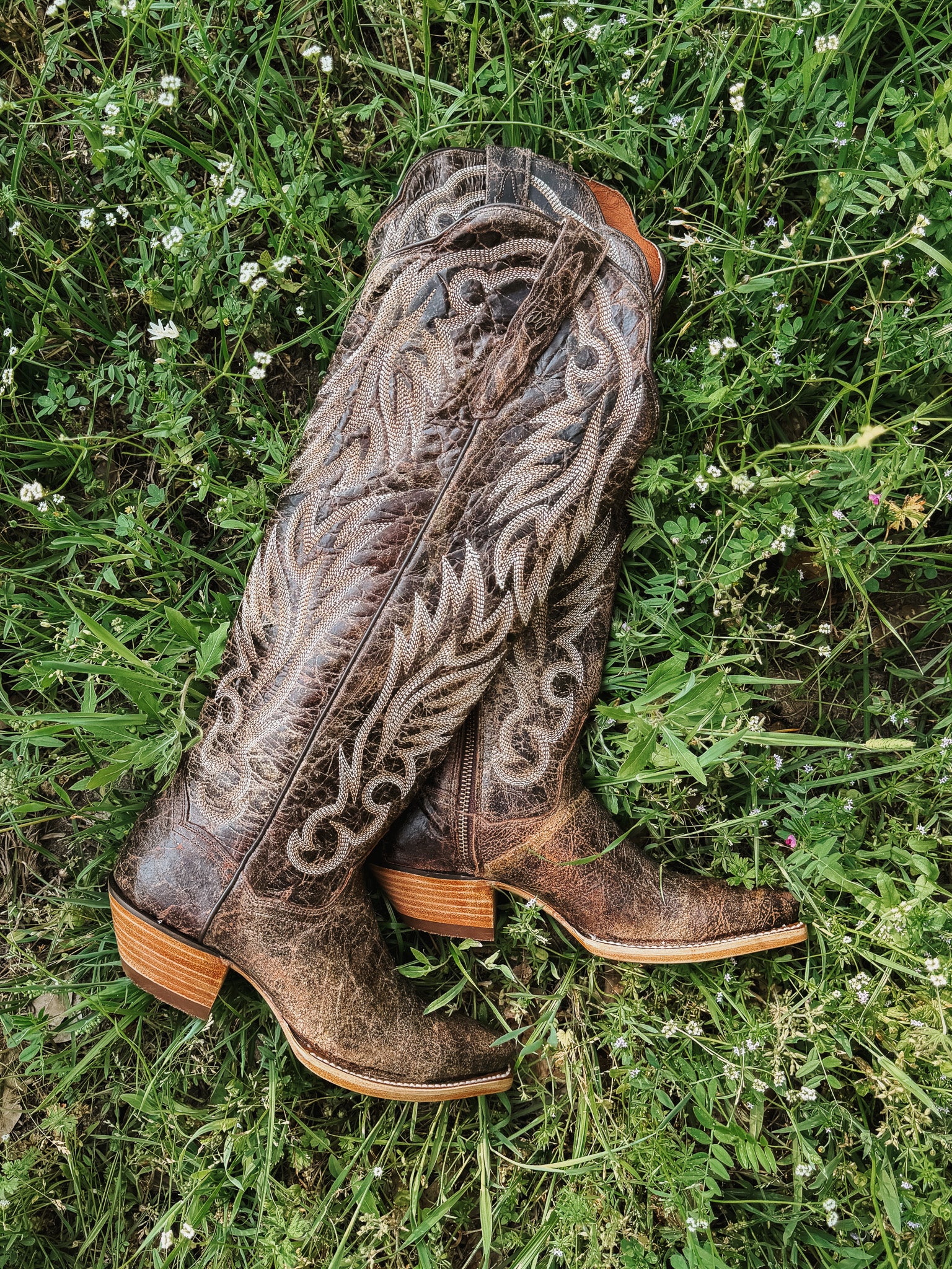 Dan Post Women's Rustic Ridge Western Boot