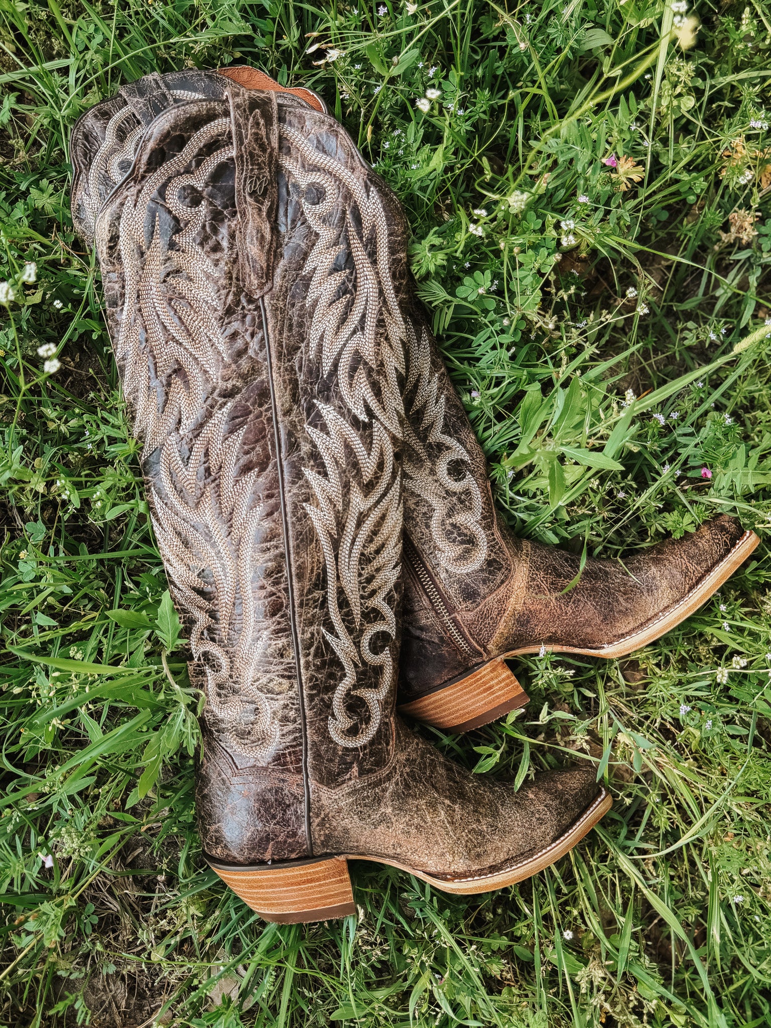 Dan Post Women's Rustic Ridge Western Boot