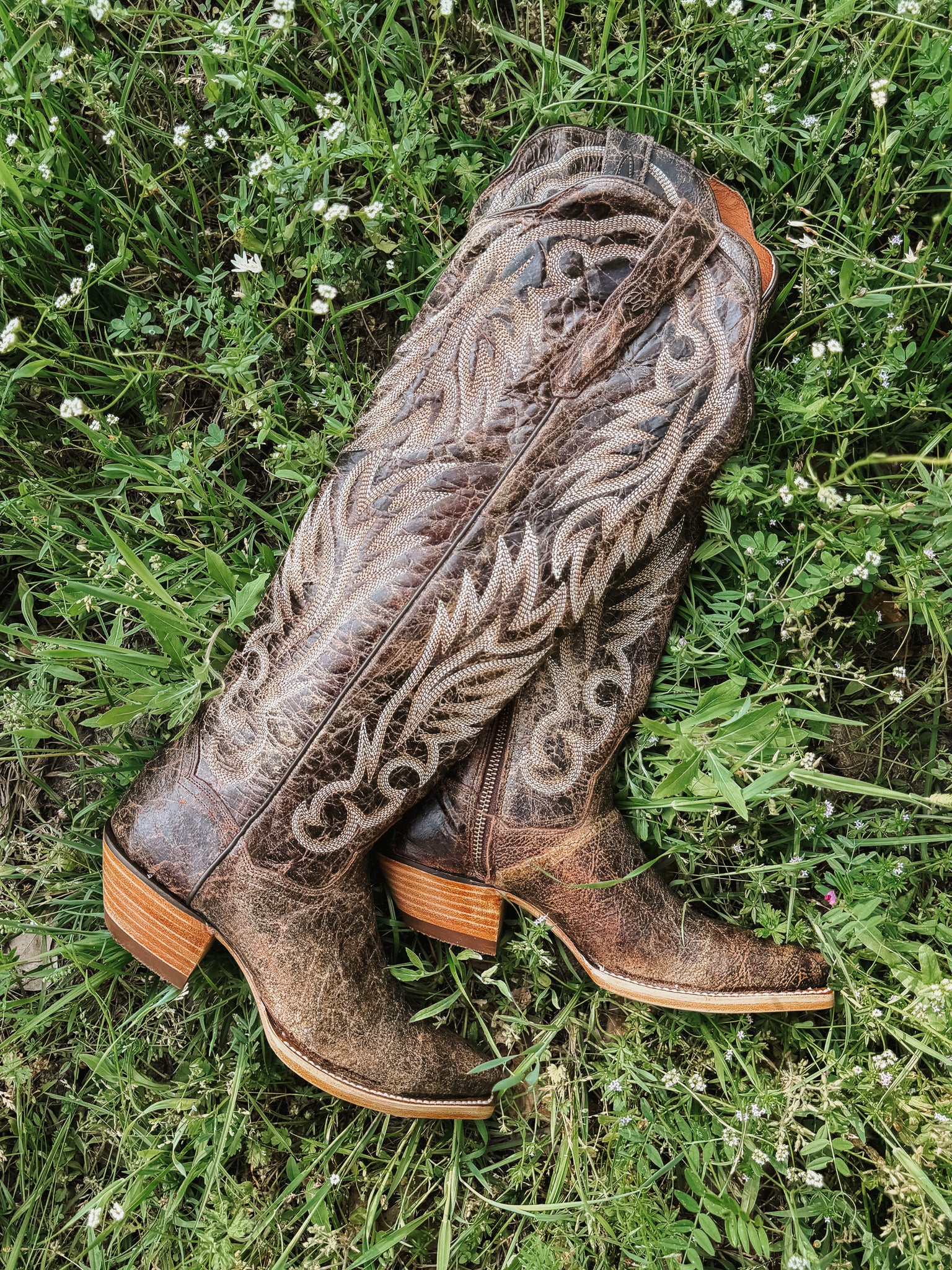 Dan Post Women's Rustic Ridge Western Boot