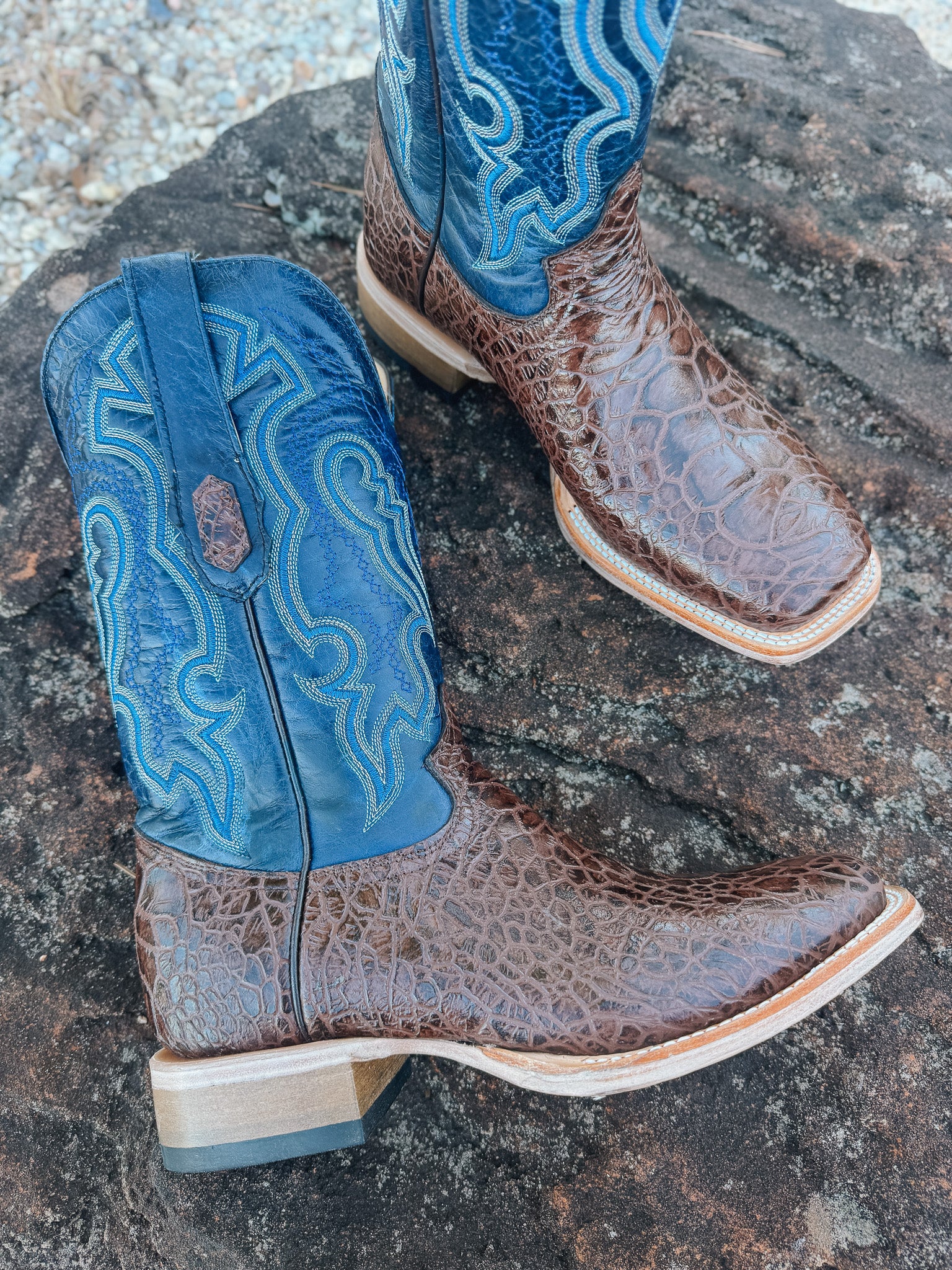 Men's Cowtown Brown Sea Turtle Print Leather Boots