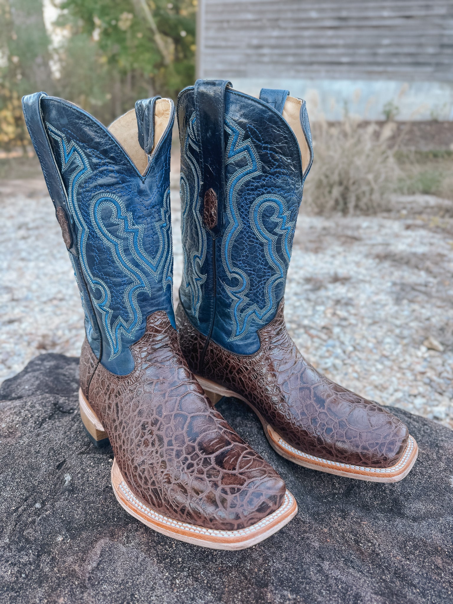 Men's Cowtown Brown Sea Turtle Print Leather Boots