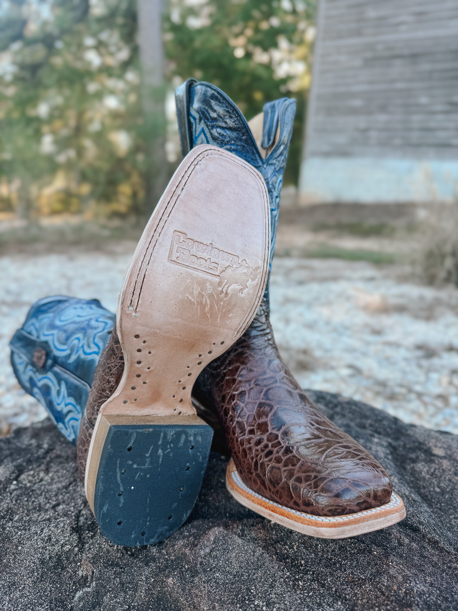 Men's Cowtown Brown Sea Turtle Print Leather Boots