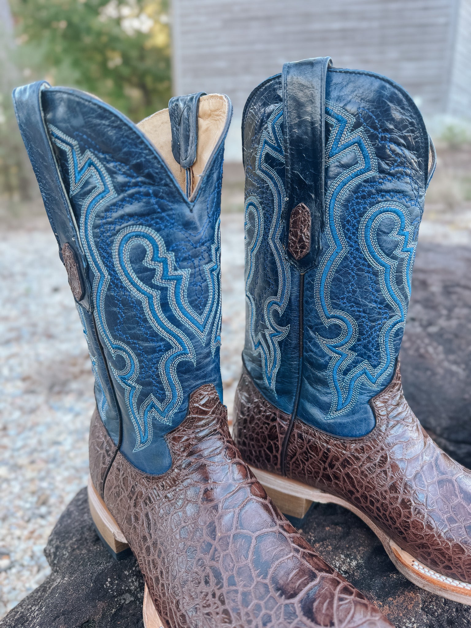 Men's Cowtown Brown Sea Turtle Print Leather Boots