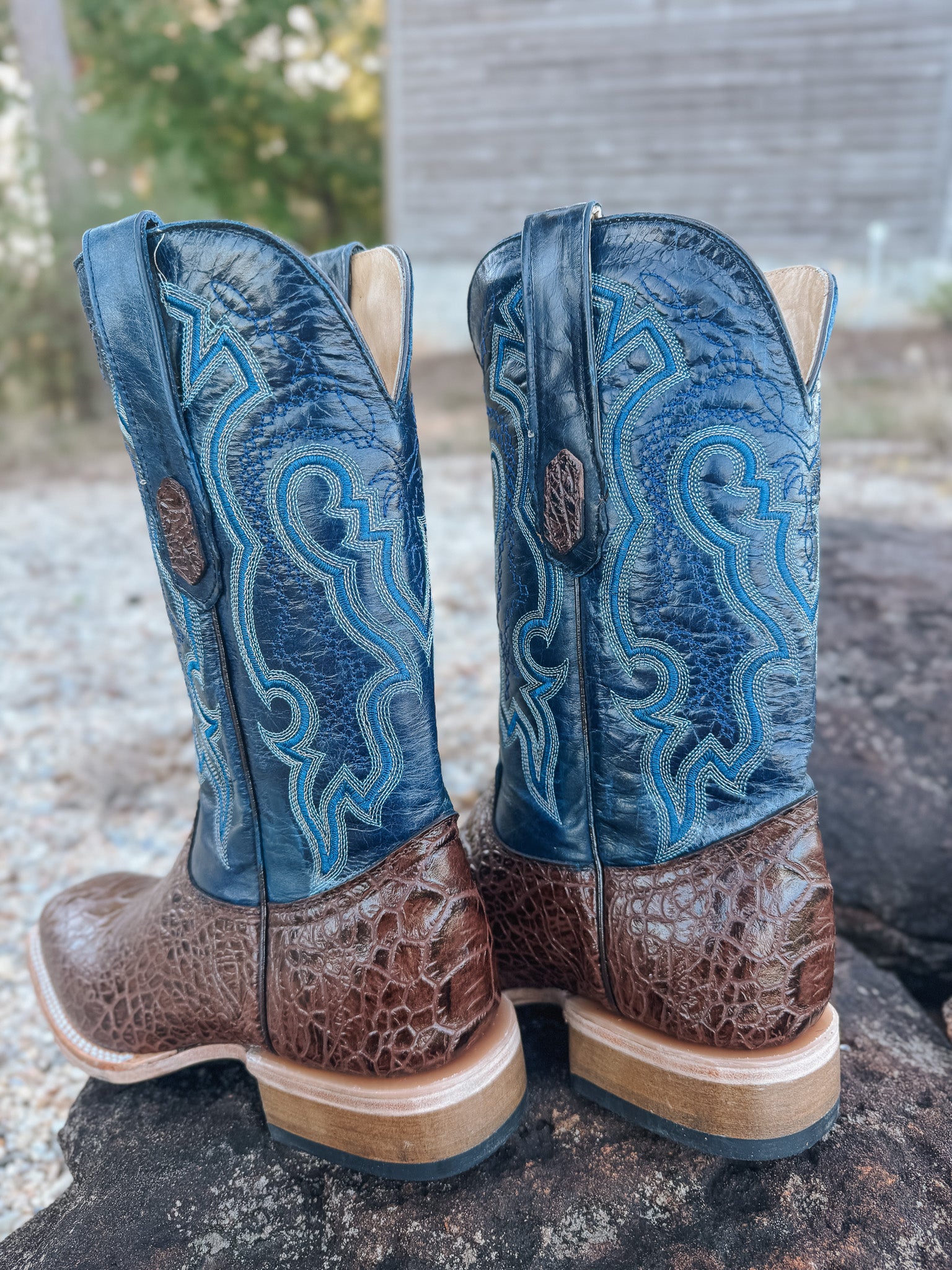 Men's Cowtown Brown Sea Turtle Print Leather Boots