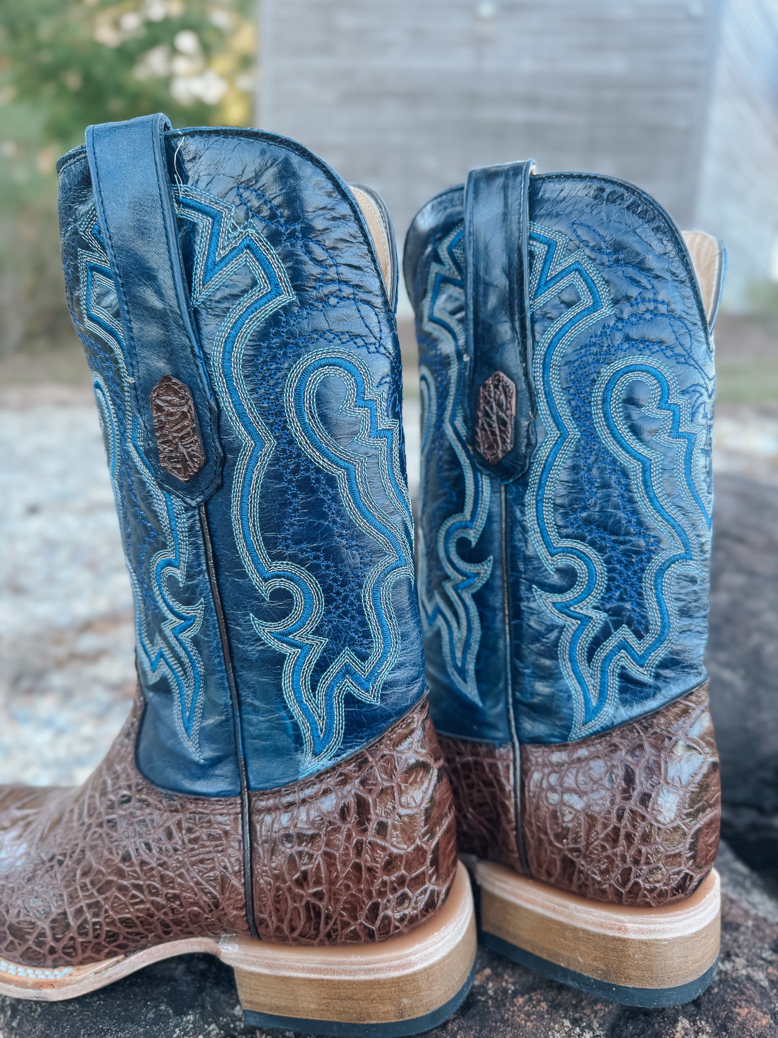 Men's Cowtown Brown Sea Turtle Print Leather Boots