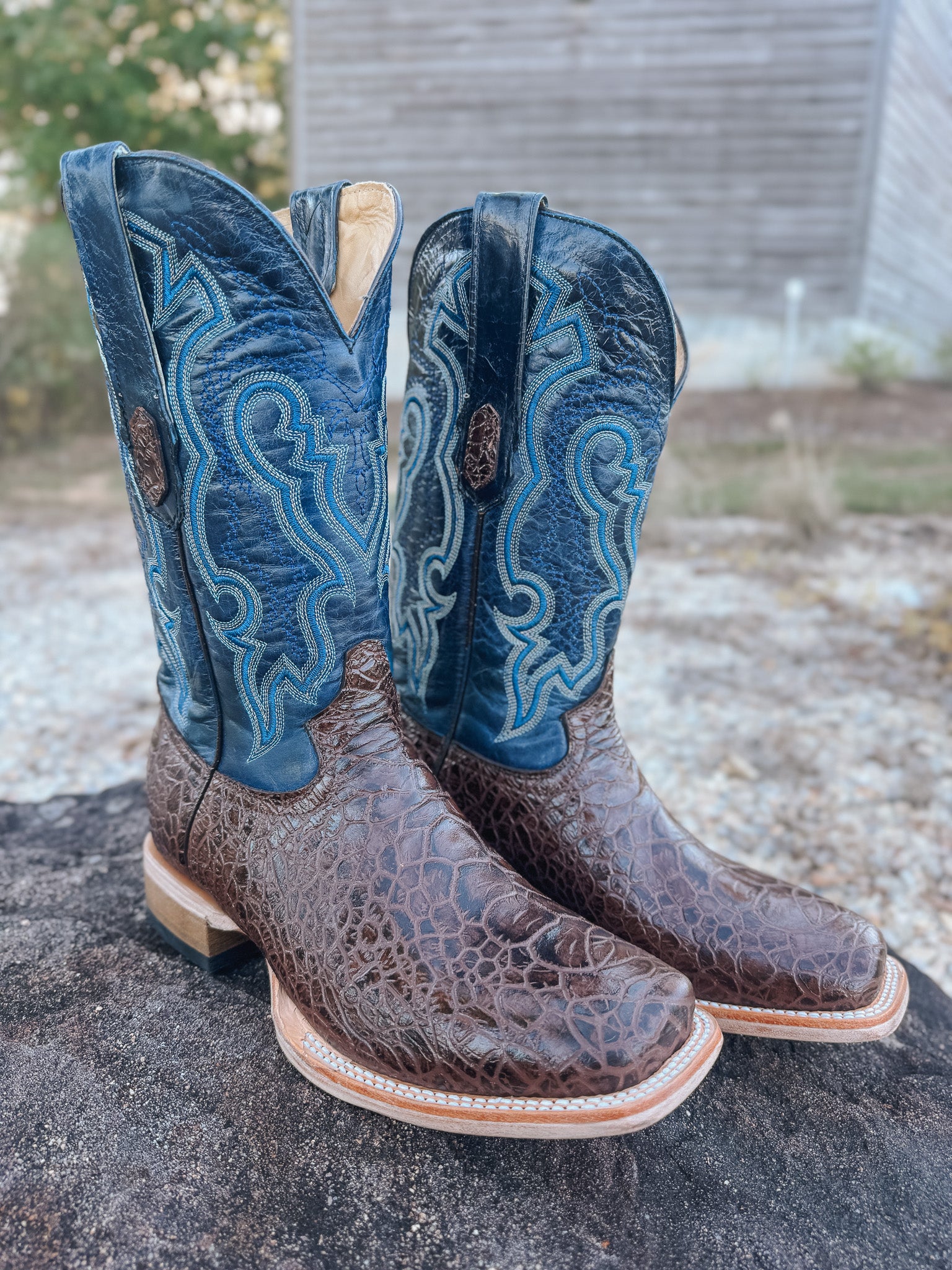 Men's Cowtown Brown Sea Turtle Print Leather Boots