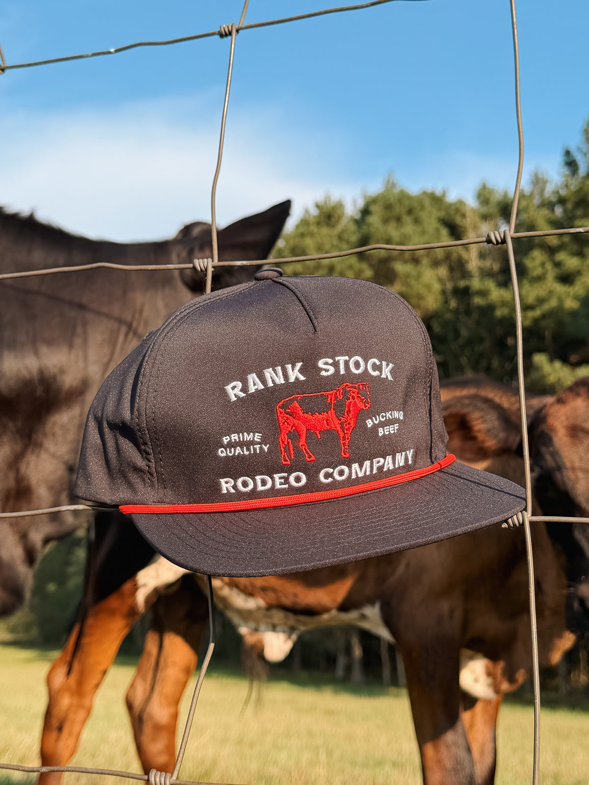 Hooey Rank Stock Cap