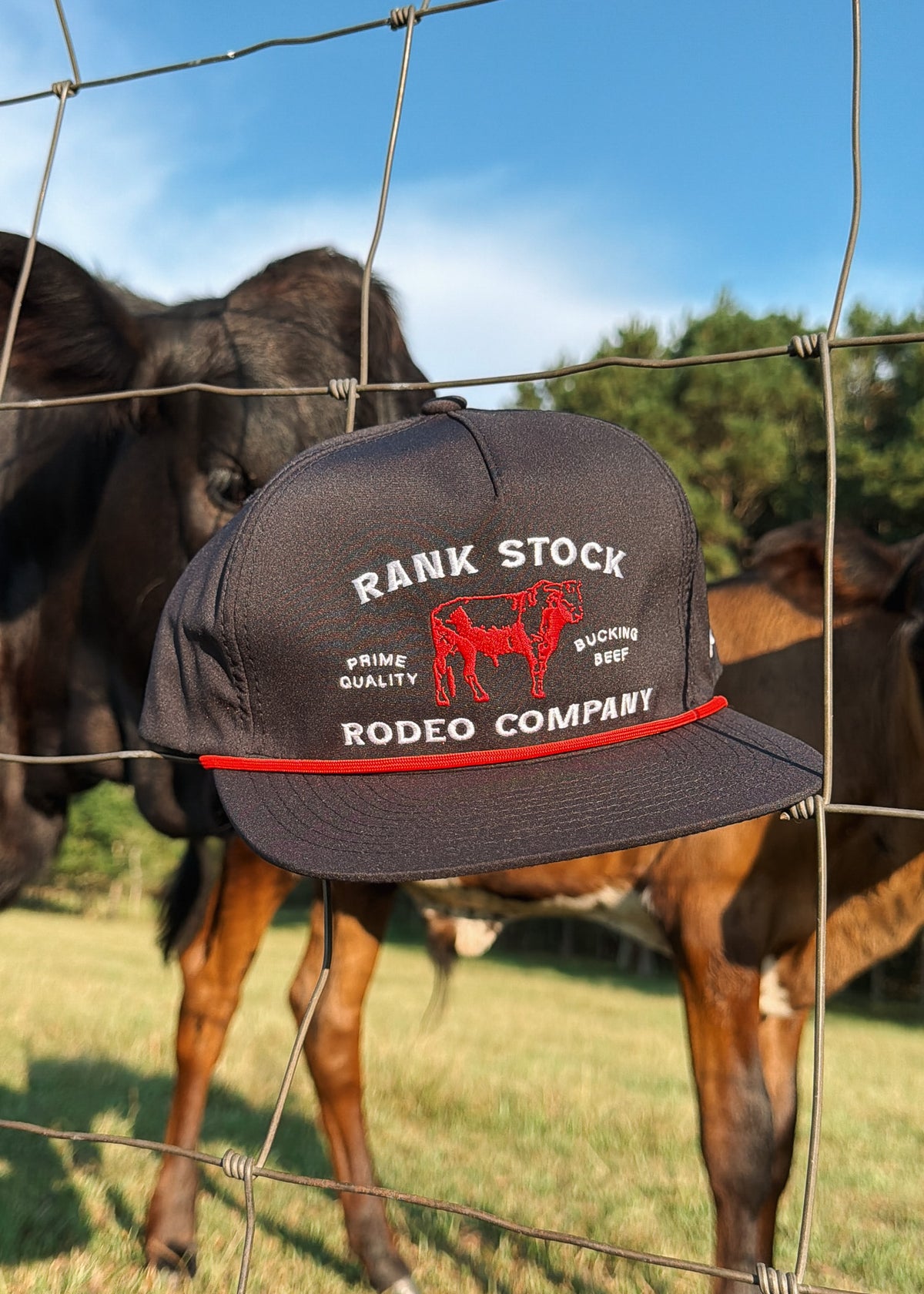 Hooey Rank Stock Cap