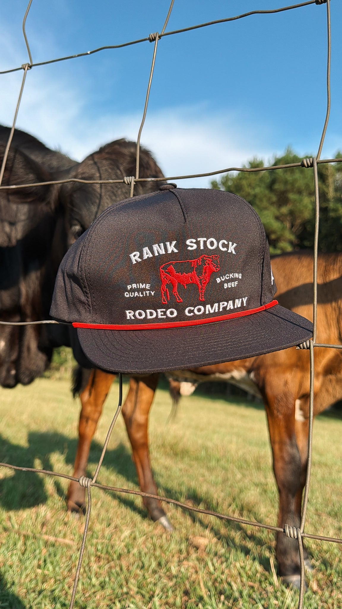 Hooey Rank Stock Cap