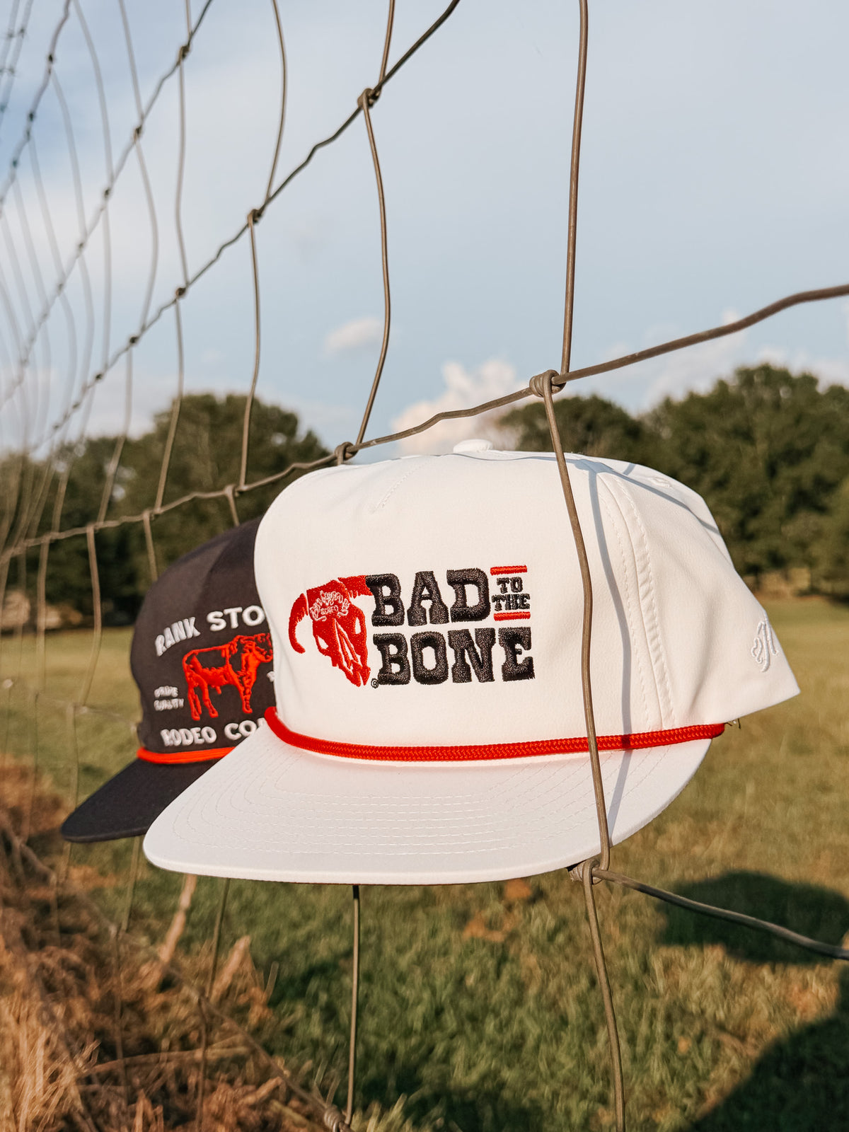 Hooey Bad to the Bone Cap