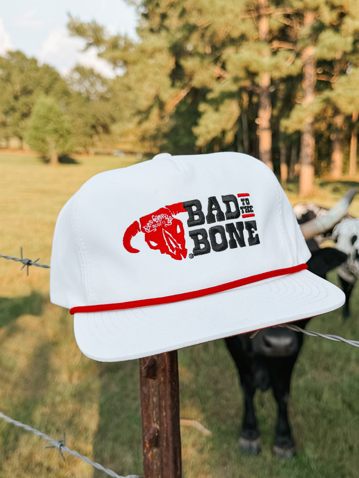 Hooey Bad to the Bone Cap
