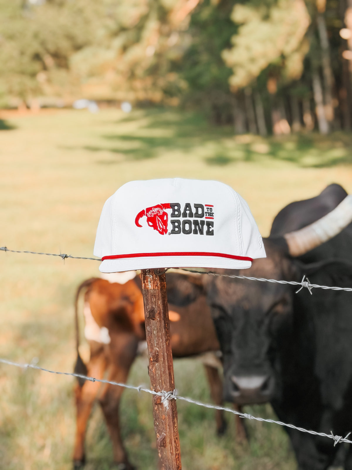 Hooey Bad to the Bone Cap