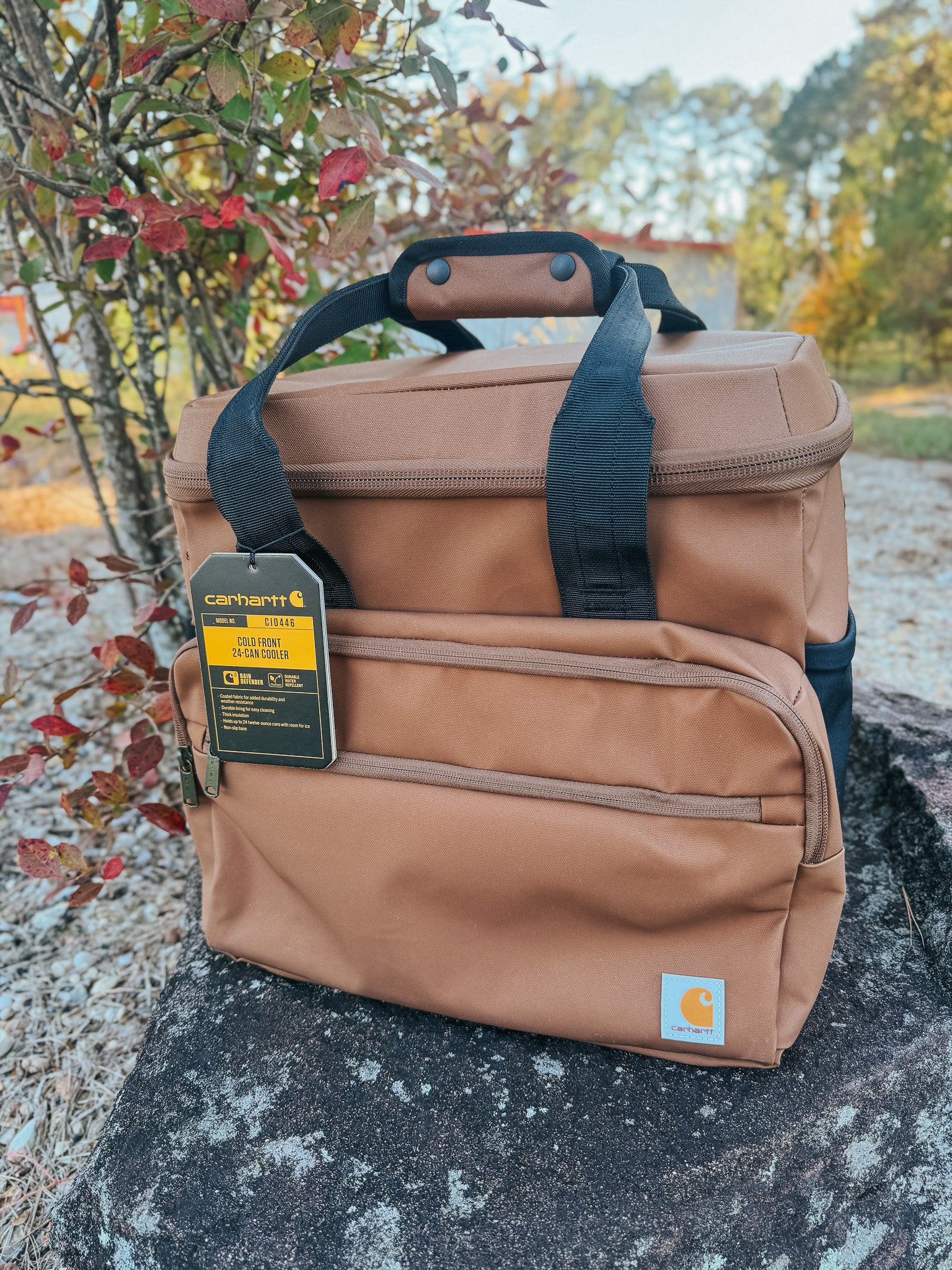 Carhartt Cold Front 24 Can Cooler in Brown