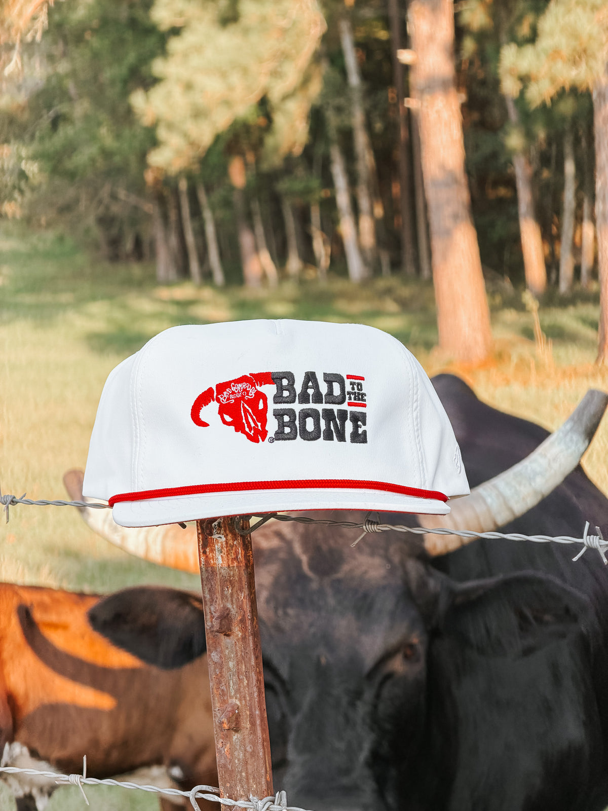 Hooey Bad to the Bone Cap