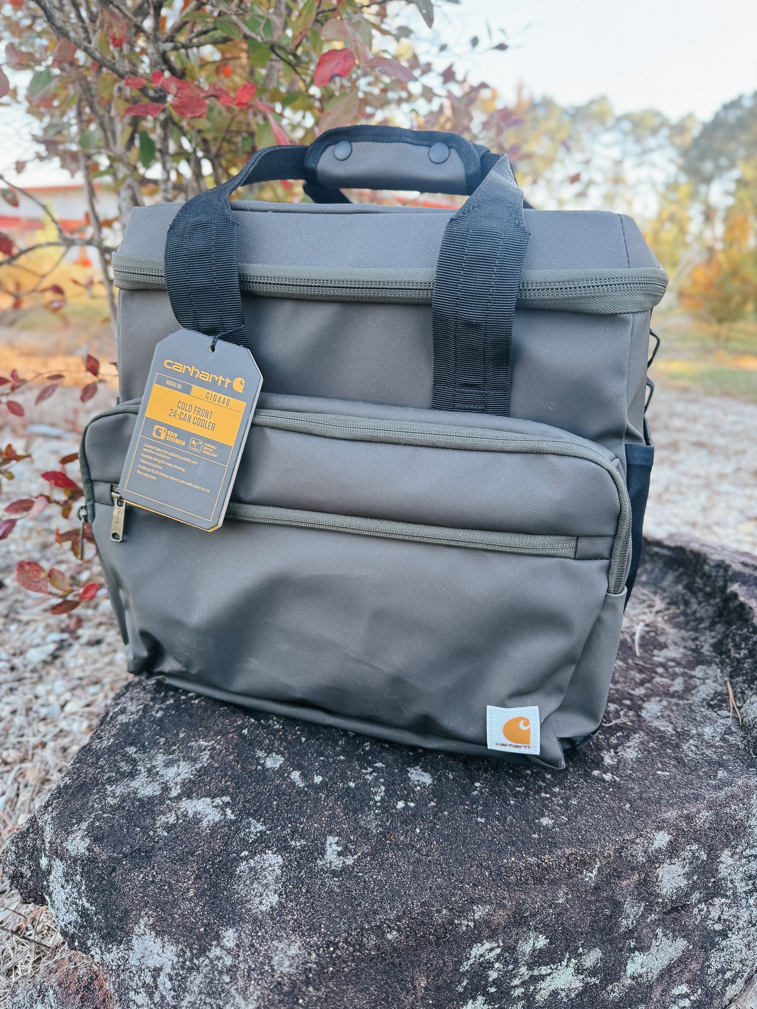 Carhartt Cold Front 24 Can Cooler in Olive