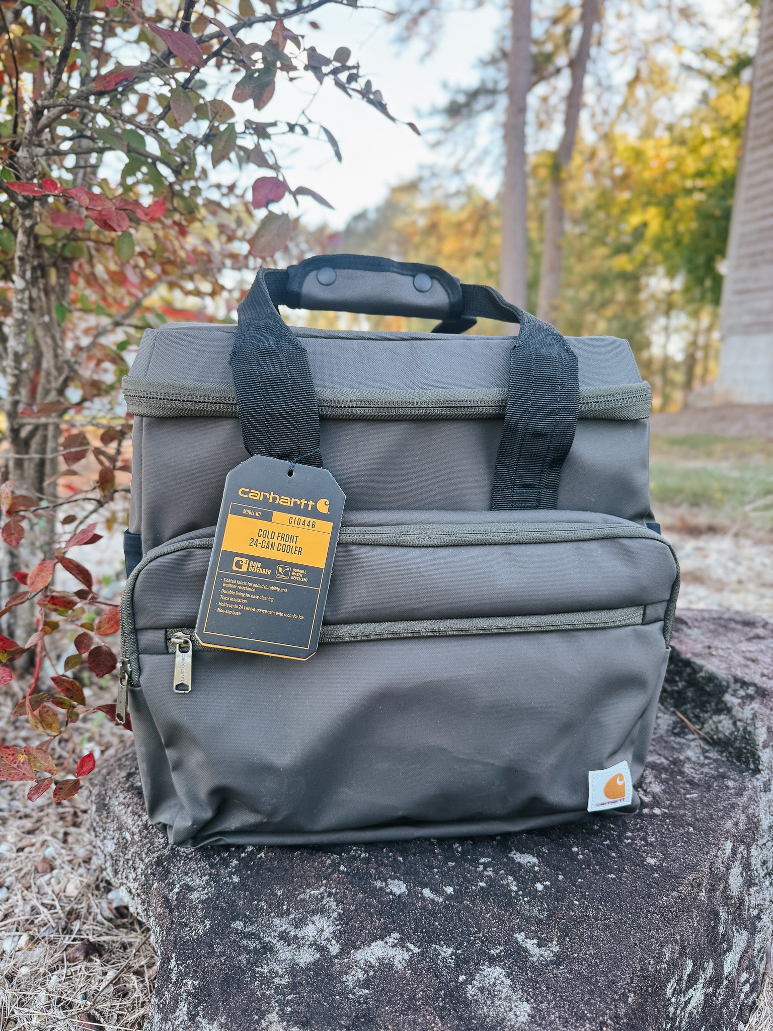 Carhartt Cold Front 24 Can Cooler in Olive