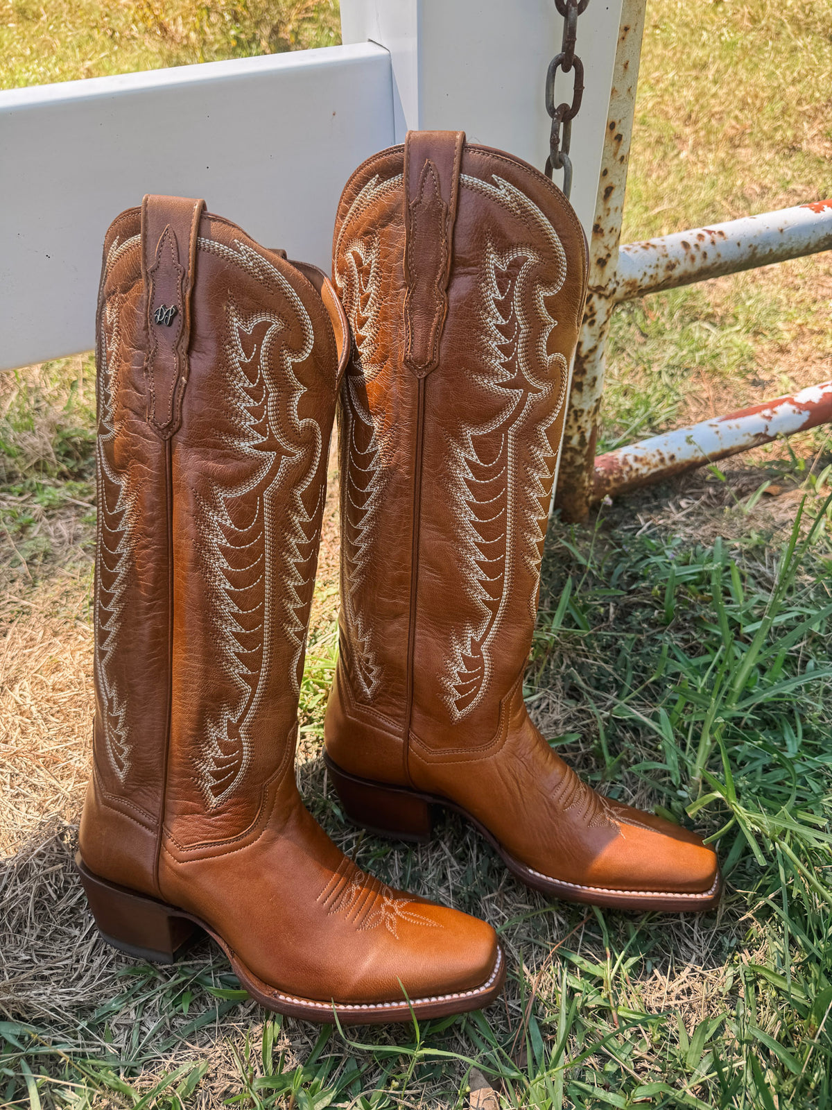 Dan Post | Women's Calista Whiskey Boots