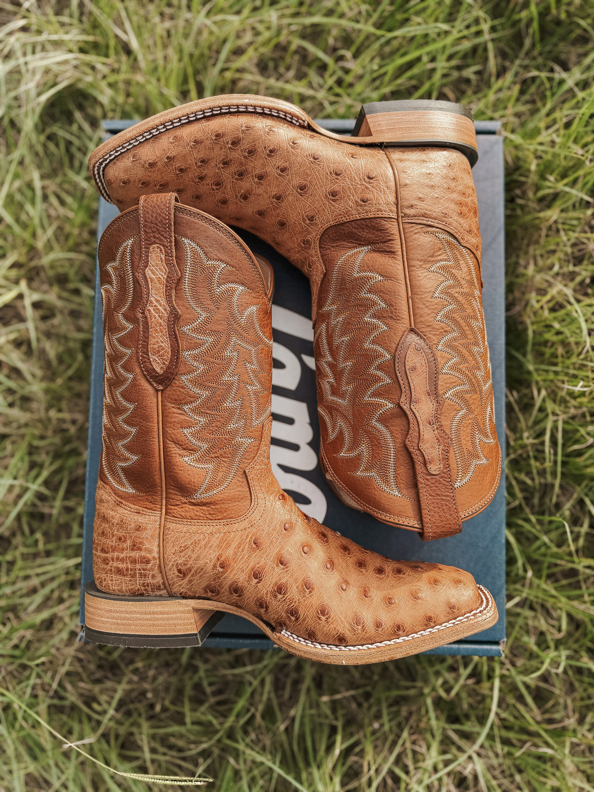 Men's Tony Lama 11" Juan Full Quill Brandy Ostrich Boots