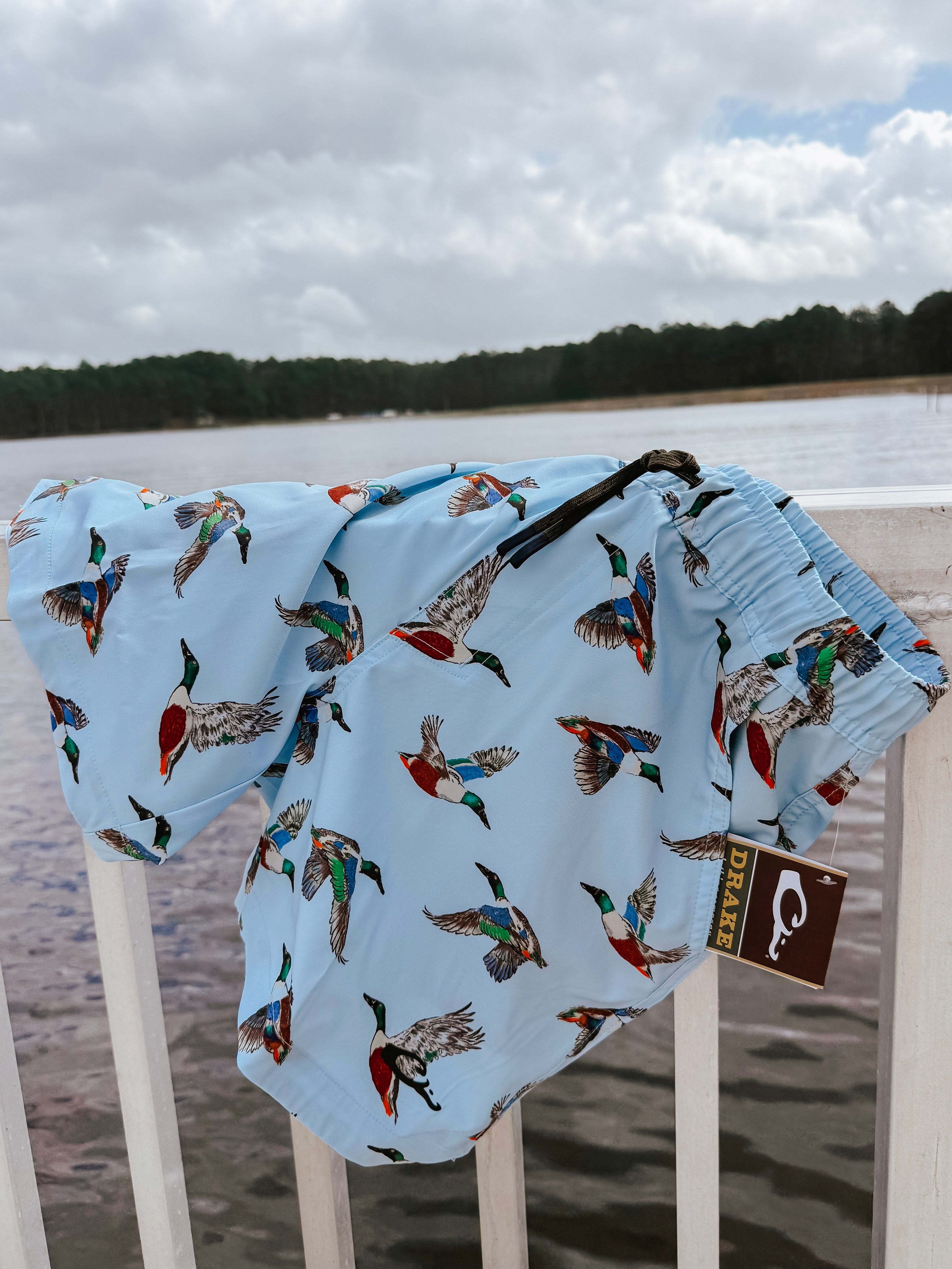 Drake Men's Lake Shore Dock 6" Shorts - Spoonie Breeze