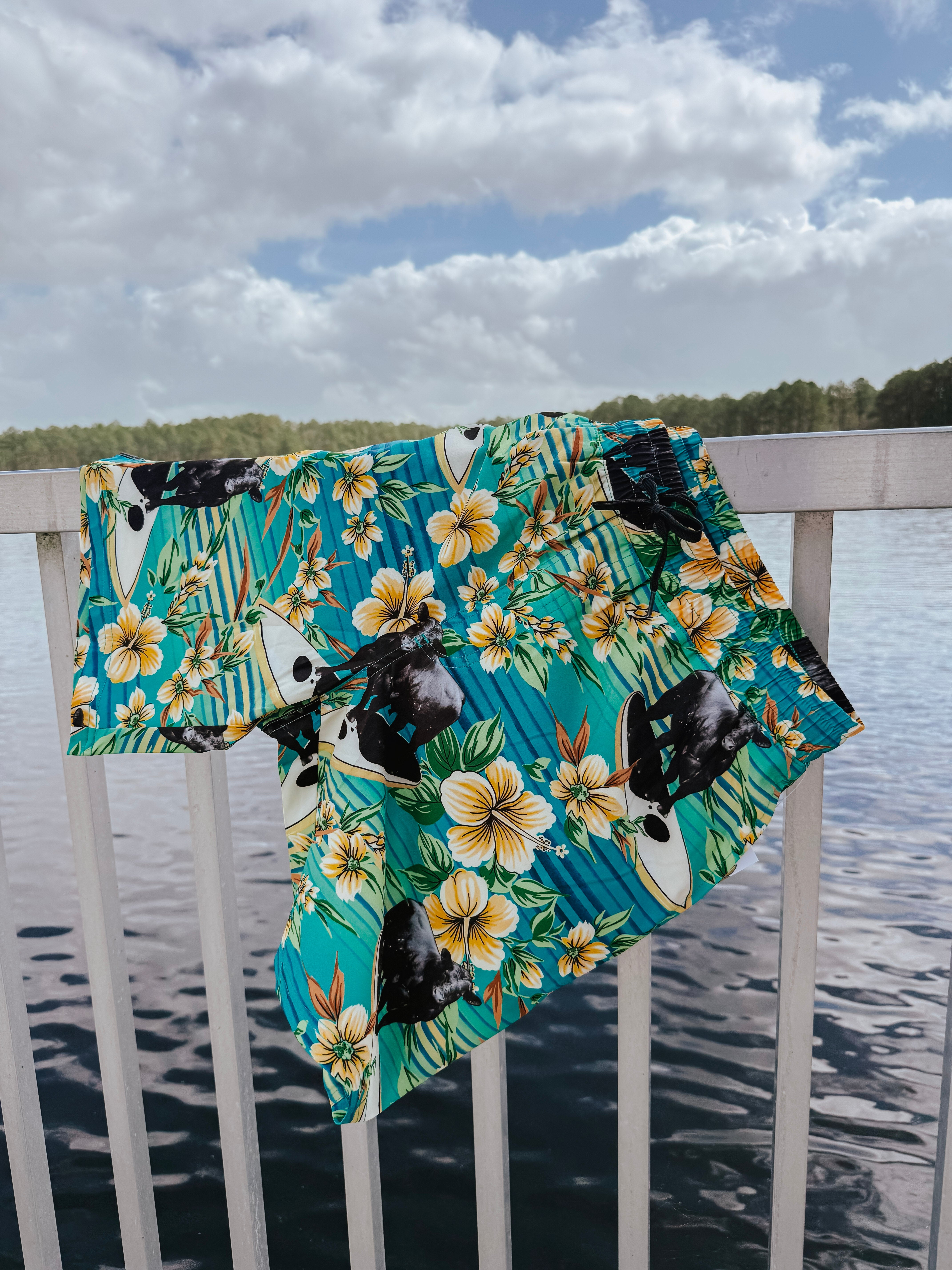 Cinch Men's Cow Surfer Swim Trunks