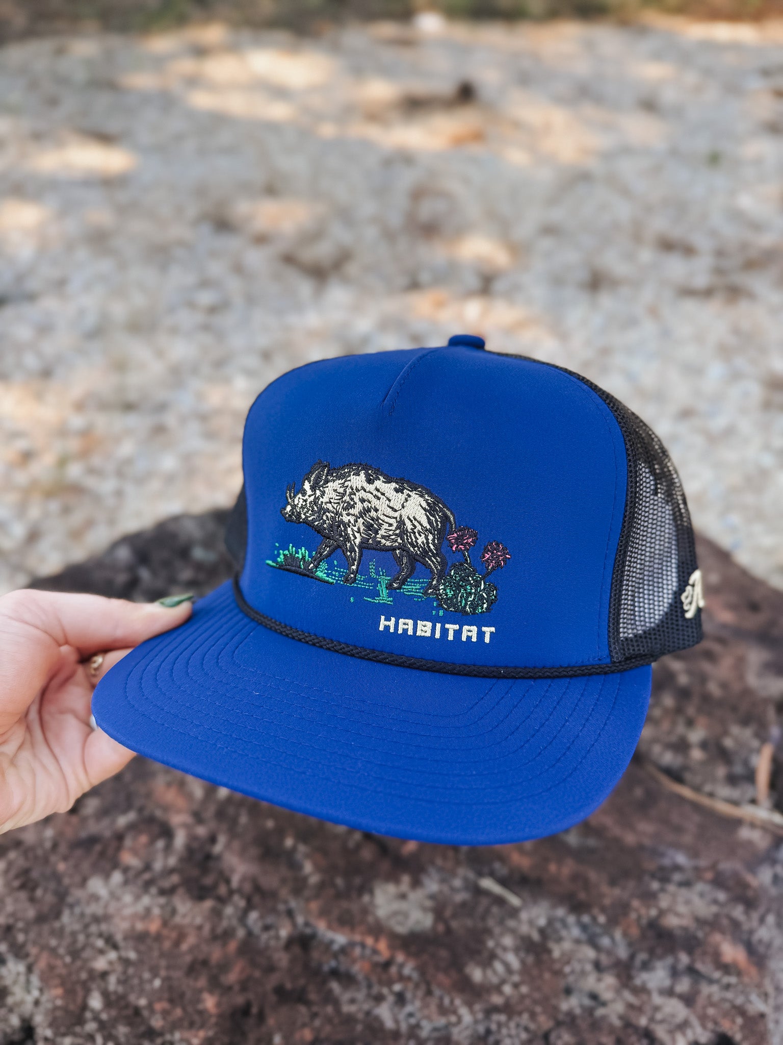 Hooey Habitat Blue Cap