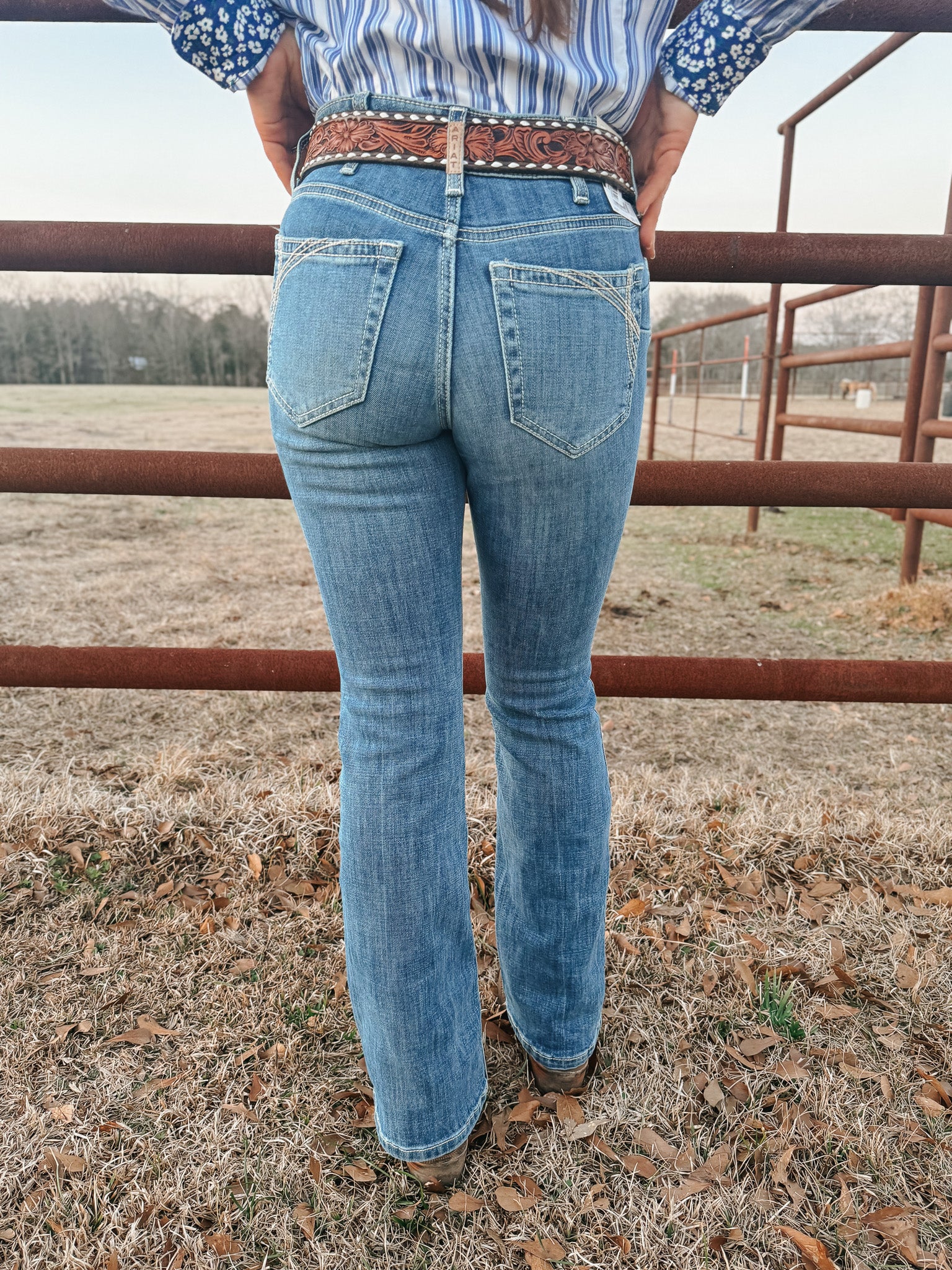 Ariat Women's Perfect Rise Naz Boot Cut Jeans